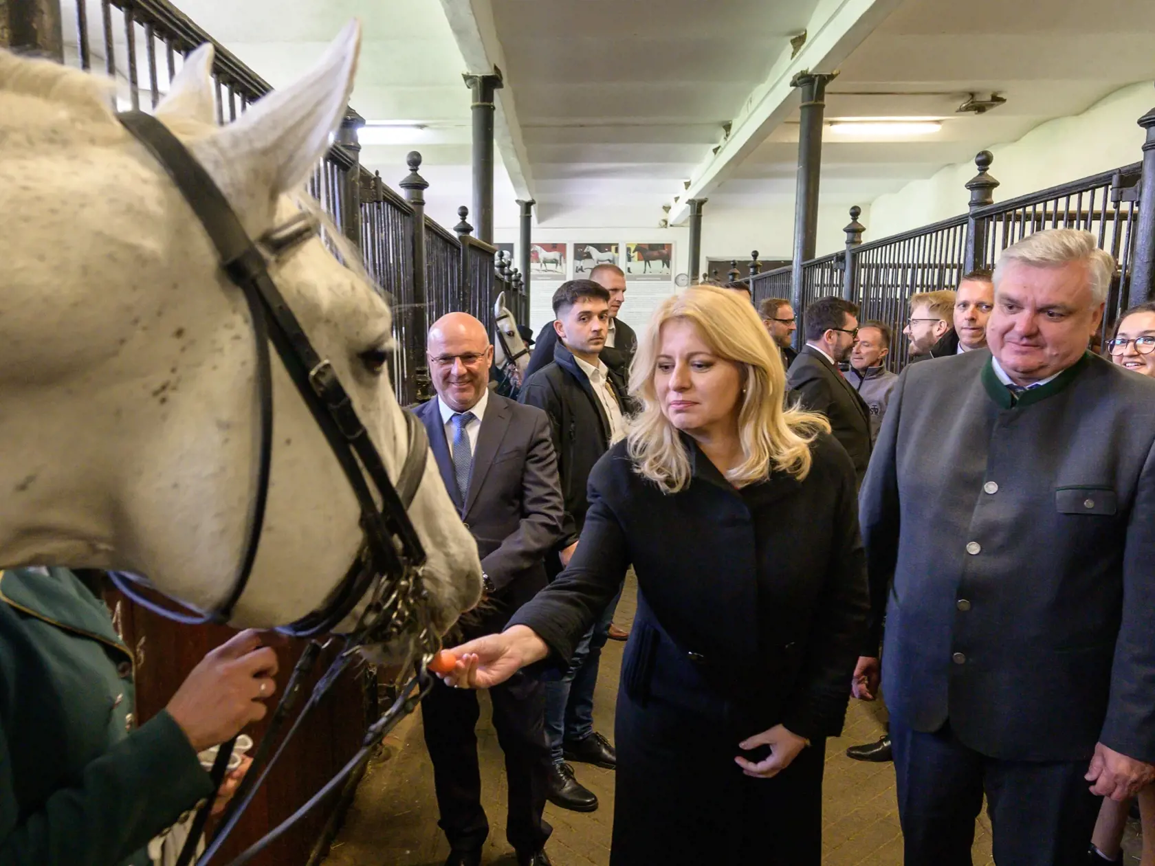 Symbolicky v bývalom letnom sídle prvého československého prezidenta Tomáša Garriqua Masaryka v Topoľčiankach sa s Nitrianskym krajom 17. apríla 2024 rozlúčila dosluhujúca prezidentka Zuzana Čaputová. Po prezidentských voľbách začala podľa vlastných slov rozlúčkové návštevy nielen v partnerských krajinách, ale aj rôznych kútoch Slovenska. Na snímke prezidentka Zuzana Čaputová (upostred) pri prehliadke Národného žrebčína v Topoľčiankach. FOTO TASR - Henrich Mišovič