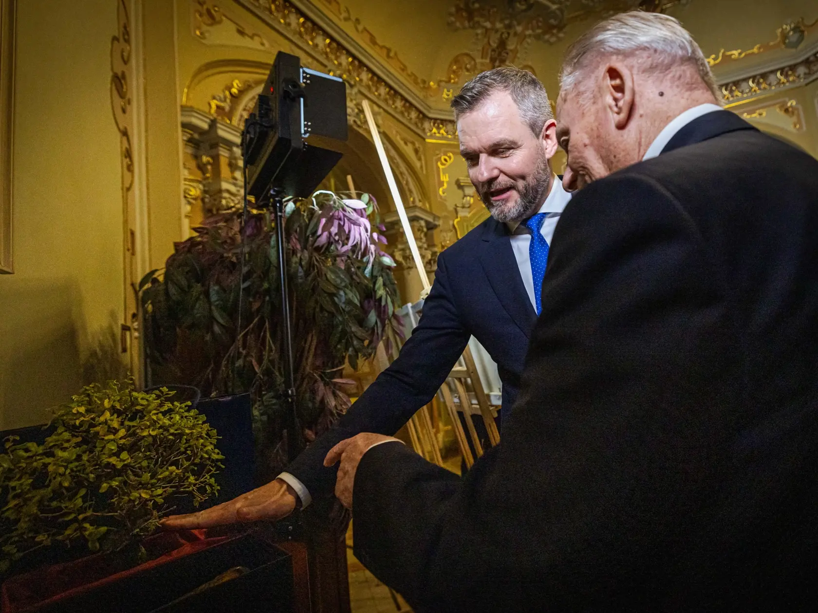Darček od Pellegriniho pre Schustera - dvanásťročný bonsajový dub.