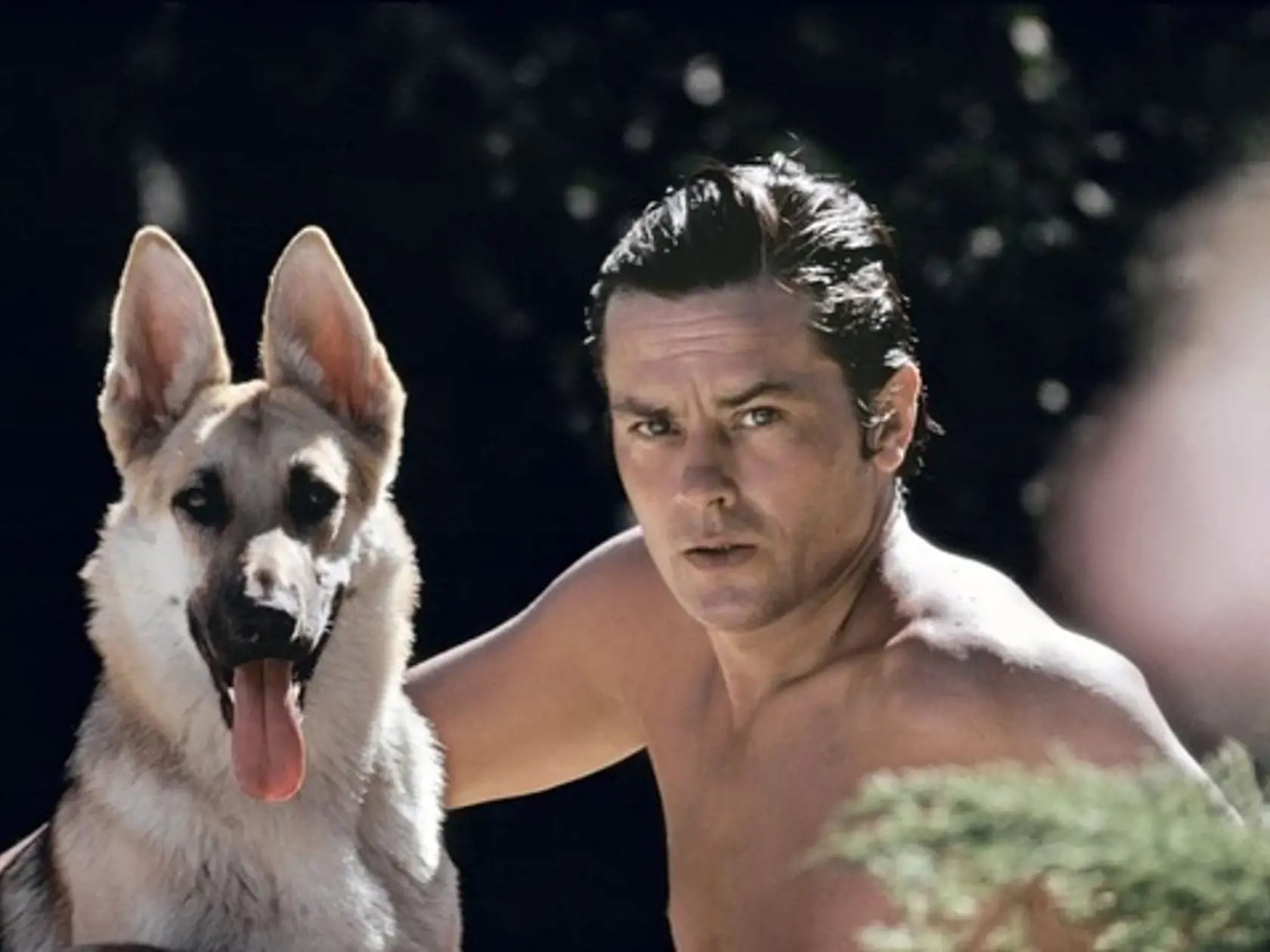 Alain Delon bol milovníkom psov: Niet čistejšej lásky, ako je láska psa, tvrdil.