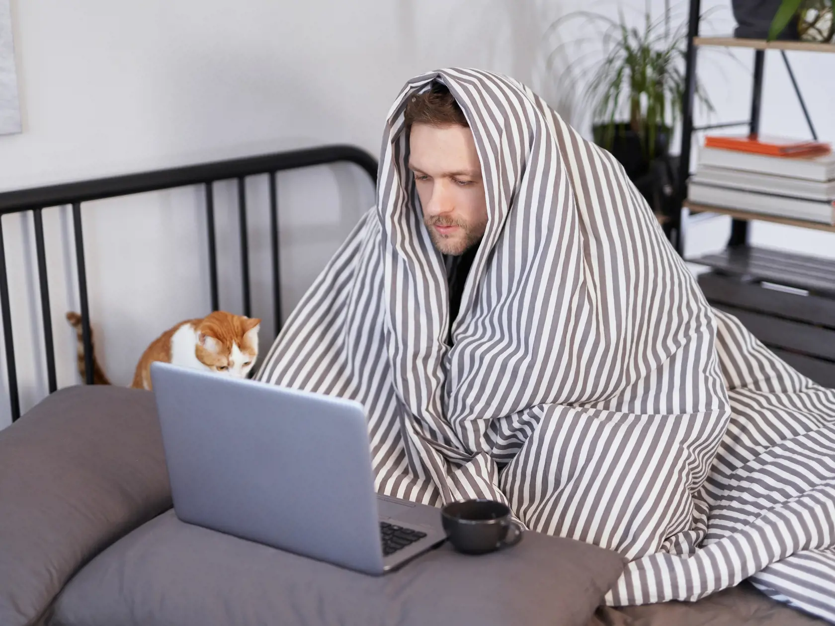 Feeling,Sick,Bearded,Attractive,Man,In,Bed,Full,Covered,With