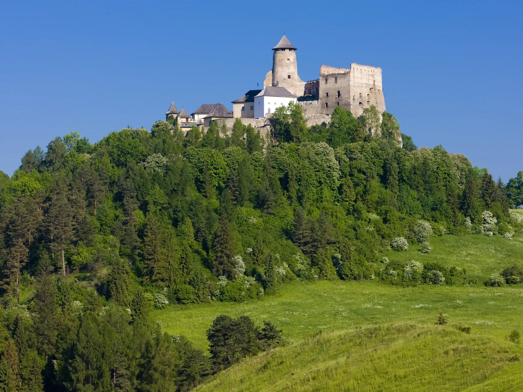 Stará Lubovňa, Lubovniansky hrad