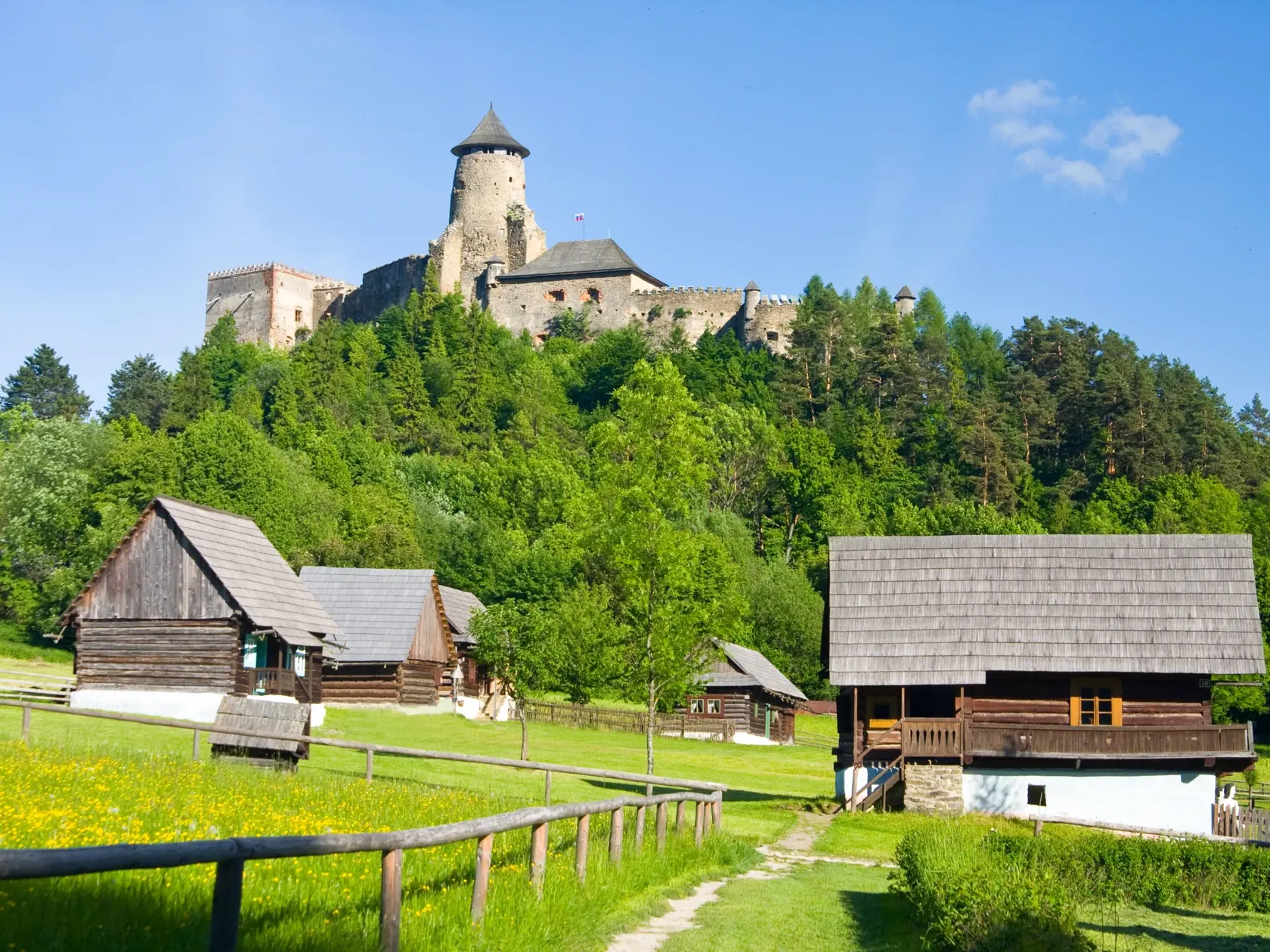 Stará Ľubovňa, Ľubovniansky hrad