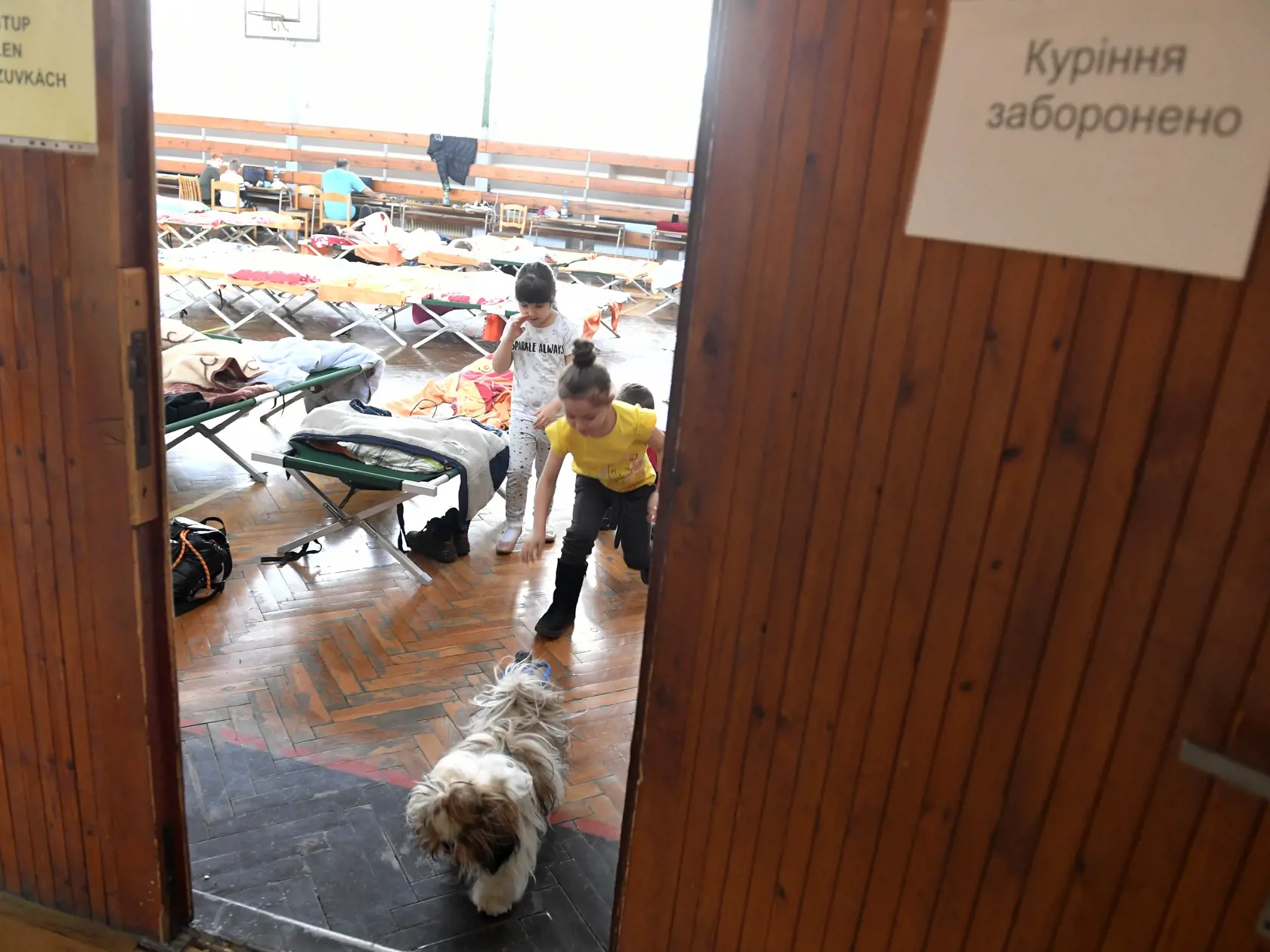 Na snímke vojnoví utečenci z Ukrajiny v telocvični Strednej odbornej školy beauty služieb na Gemerskej ulici 1 v Košiciach 10. marca 2022. FOTO TASR – František Iván 