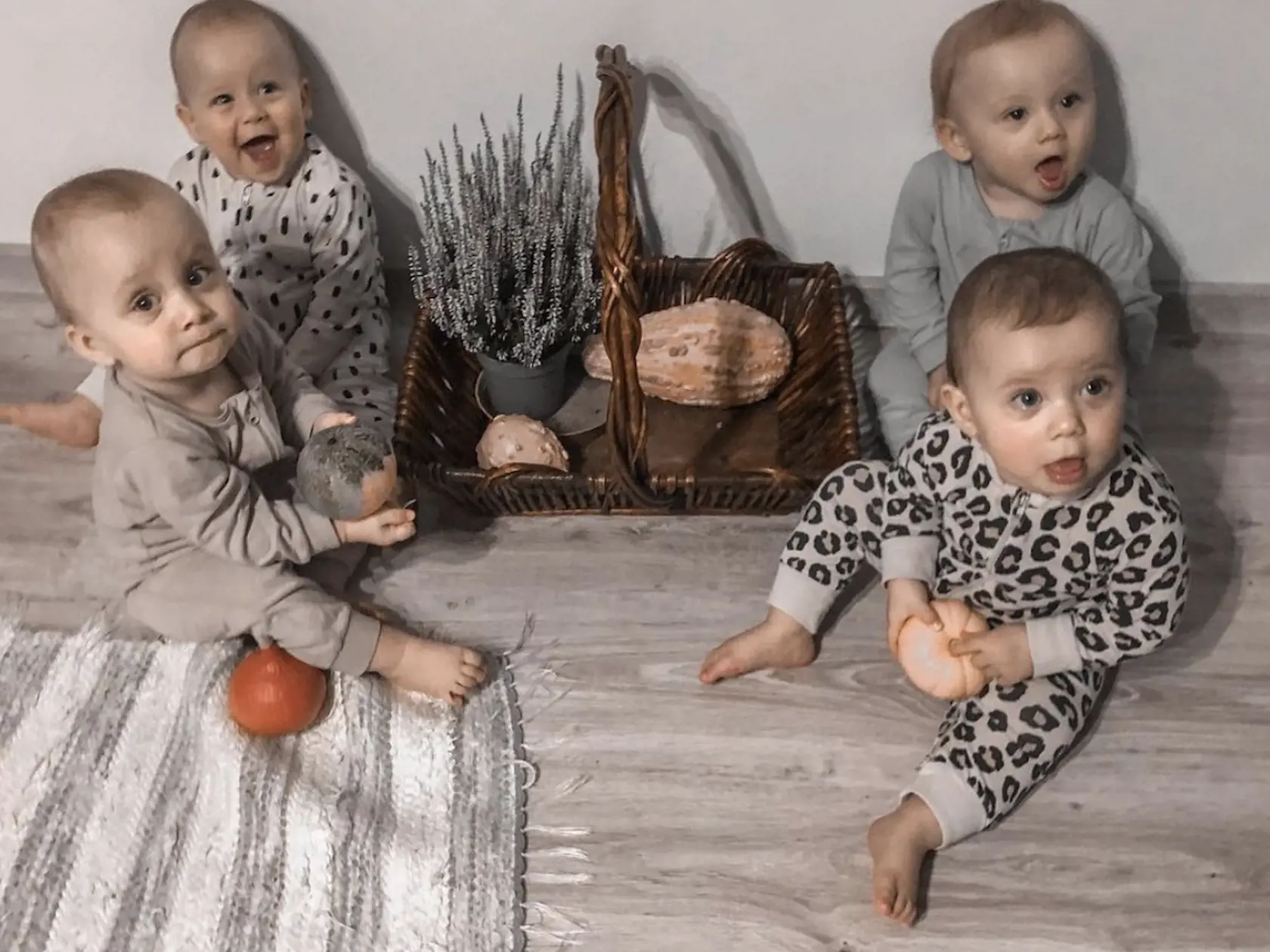 Už sa vedia spoločne zahrať. Dokonca aj pobiť. "Mladšie dieťa sa to naučí od staršieho. Oni sa nemali od koho a predsa to vedia," smeje sa Veronika.