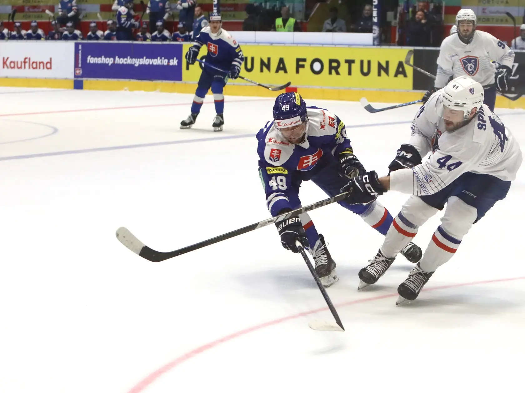 Na snímke zľava Samuel Takáč (Slovensko) a Kevin Spinozzi (Francúzsko) počas prípravného hokejového zápasu pred majstrovstvami sveta.