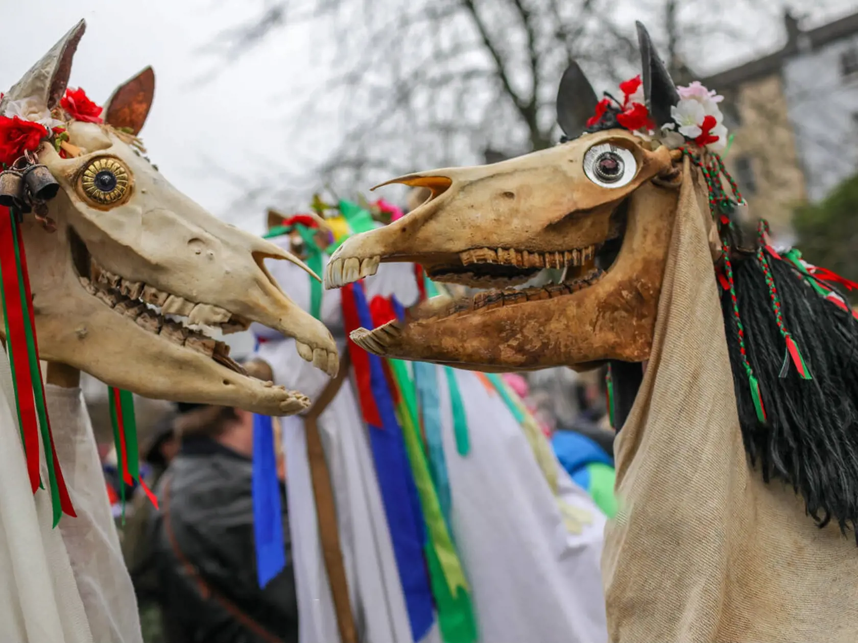 Sivá kobyla, alebo vo waleštine Mari Lwyd, je meno strašidelnej obludy, ktorú v období medzi Vianocami a Novým rokom nosia koledníci po dedinách a mestách. Tvorí ju skutočná konská lebka, upevnená na drevenej konštrukcii prekrytej plachtami. (archívne foto)