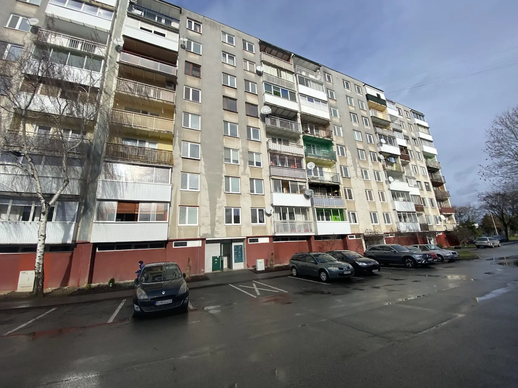Sestre Erikinej mamy pri sledovaní správ o steľbe v Michalovciach skrsla zlá predtucha: "Zavolala môjmu bratovi a aj on spoznal bytovku na Bieloruskej 5. Sedelo číslo vchodu aj poschodie. Syn zavolal na políciu a tak to asi o hodinu potvrdili. Až keď ich brali na pitvu sa zistilo, že zastrelený bol iba Stano. A oni zrejme otrávení, lebo stopy po škrtení sa nenašli," vraví mama nebohej.