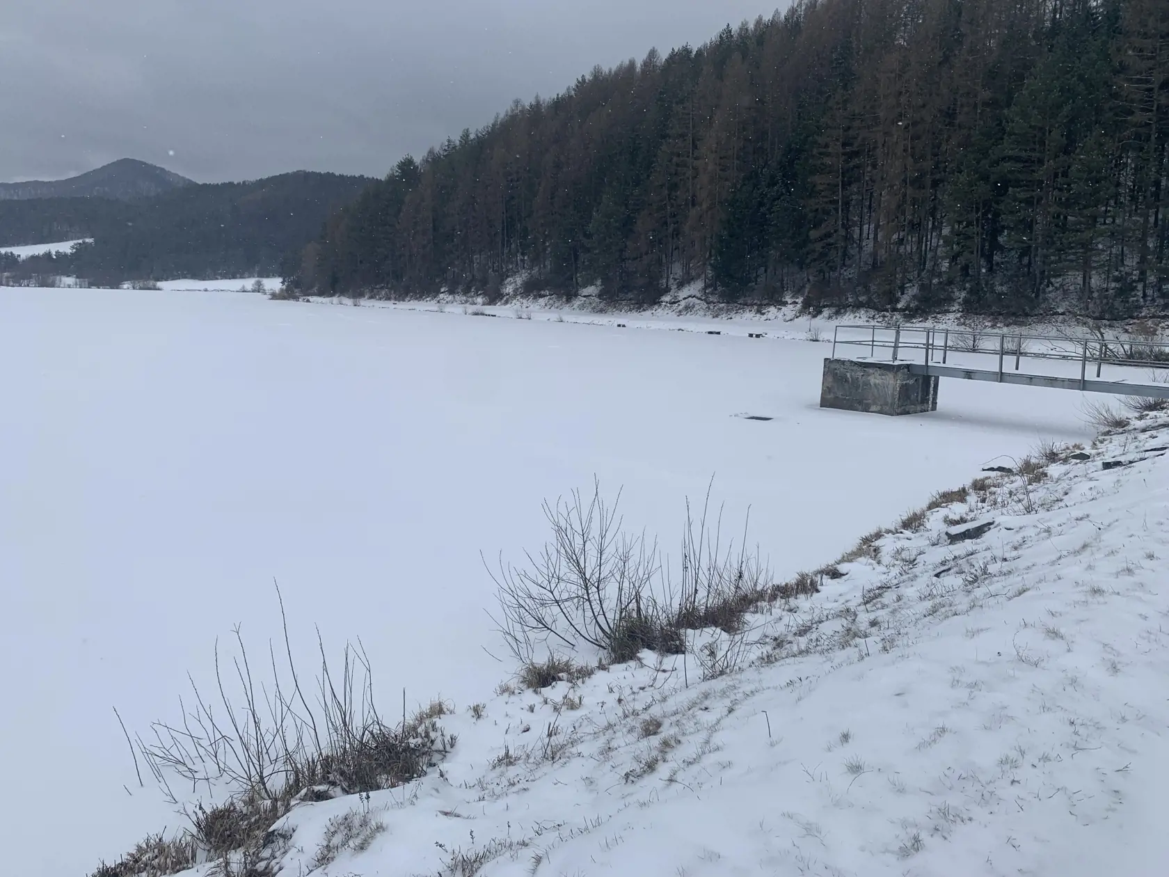 Chlapci boli kamaráti. Dohodli sa, že sa pôjdu korčuľovať na neďaleké jazierko. Tam aj smerovali.