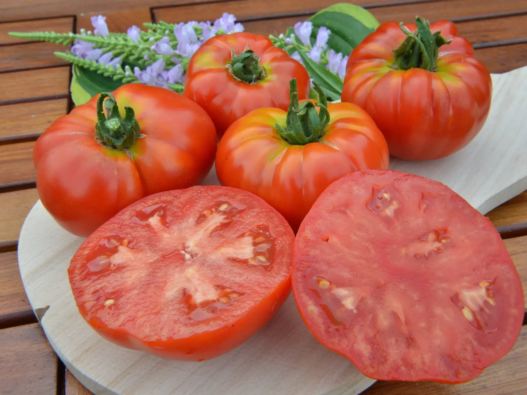 Odroda Costoluto Genovese