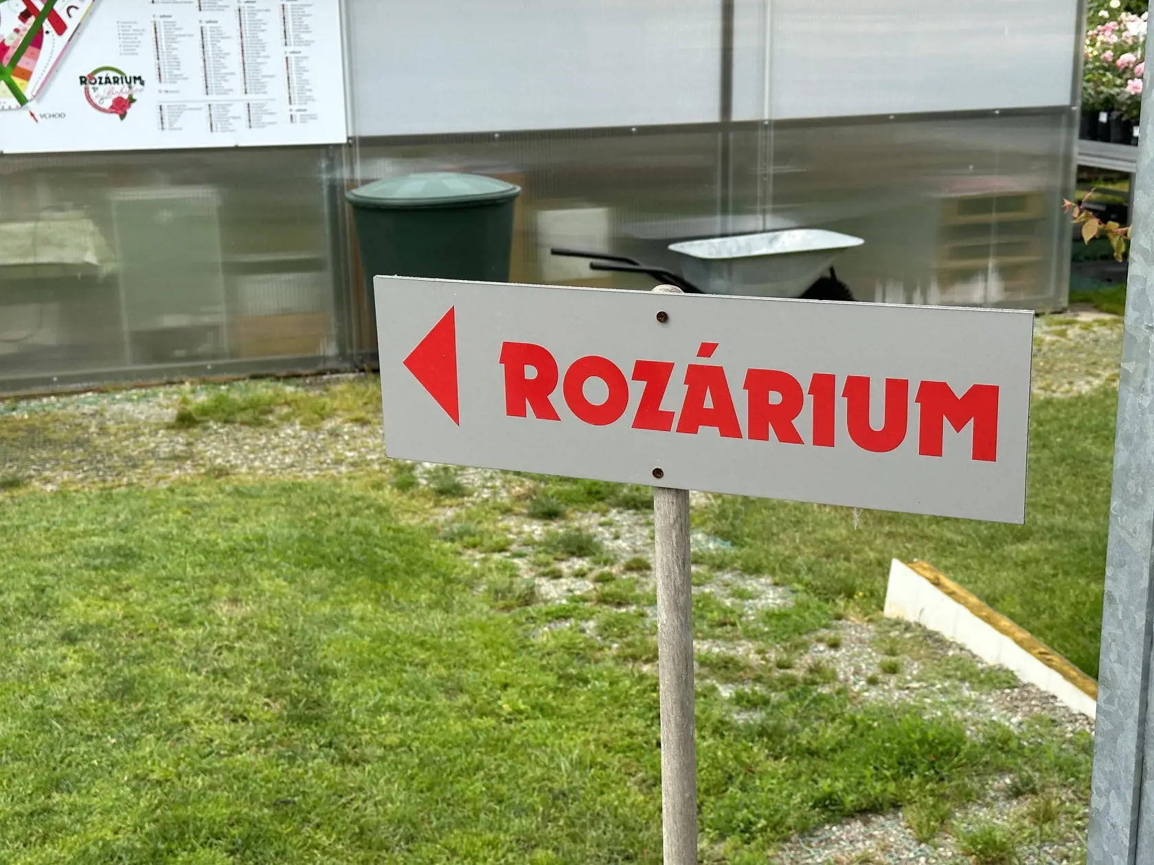 Zhruba 15 kilometrov na juh od Košíc láka domácich i turistov vôňa ruží.