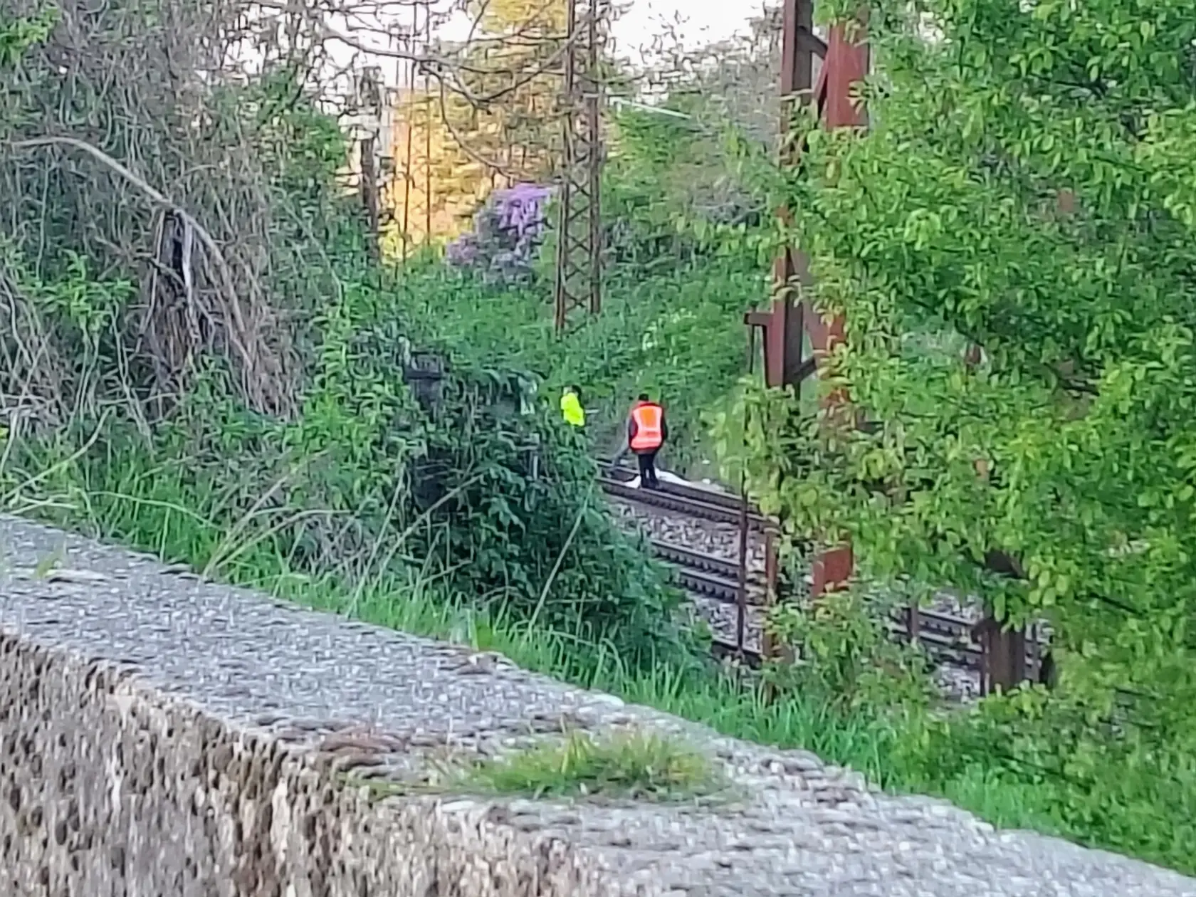 V blízkosti železničnej stanice Bratislava - Vinohrady zrazil v sobotu pred 17.30 h vlak dve osoby. Žena zraneniam podľahla, muž s vážnymi zraneniami z miesta ušiel. TASR o tom informoval bratislavský krajský policajný hovorca Michal Szeiff.