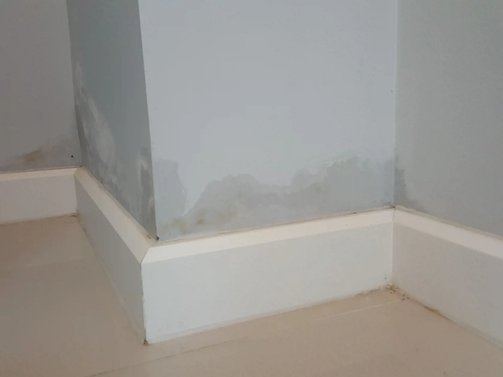Raising,Damp,On,Concrete,Wall,From,Underground,Water