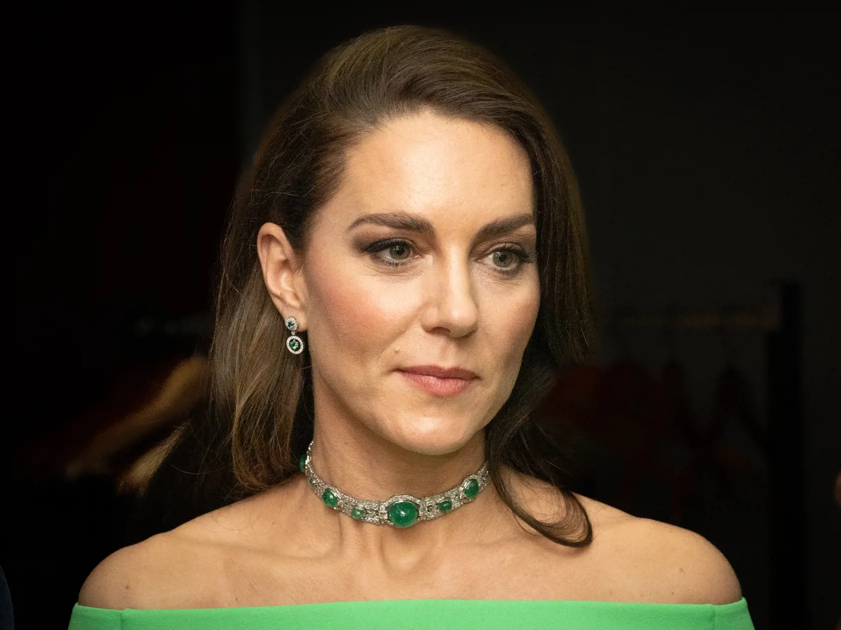 V súlade s ekologickou témou večera sa princezná Kate rozhodla obliecť šaty od značky Solace London, ktorý kráľovská rodina získala z online požičovne návrhárov HURR. Za zapožičanie róby účtuje 74 až 194 libier.