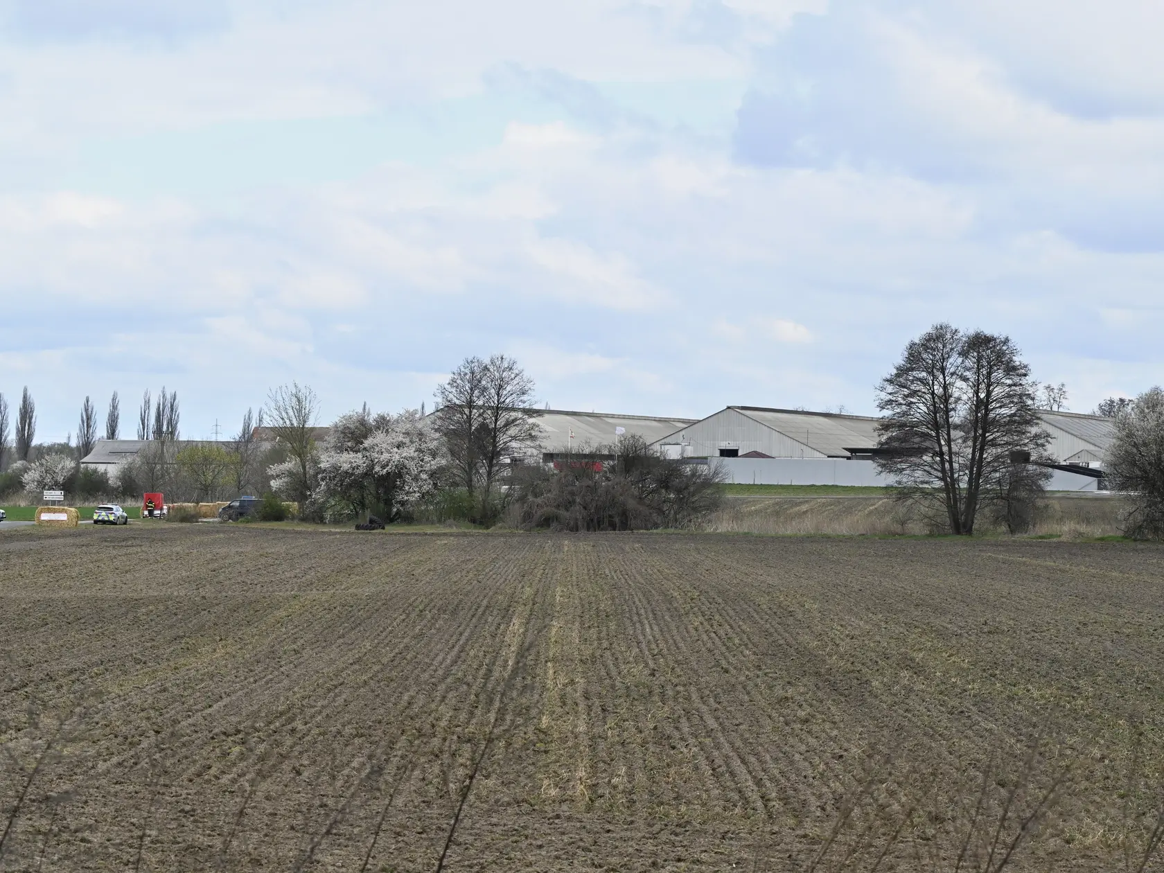 Na snímke farma v Plaveckom Štvrtku v okrese Malacky, v ktorej potvrdili výskyt slintačky a krívačky v pondelok  31. marca 2025. Výskyt slintačky a krívačky medzi dobytkom na farme v Plaveckom Štvrtku potvrdili v nedeľu (30. 3.) Tamojšia farma sa stala piatym chovom, kde sa na Slovensku nákaza vyskytla. FOTO TASR - Pavel Neubauer