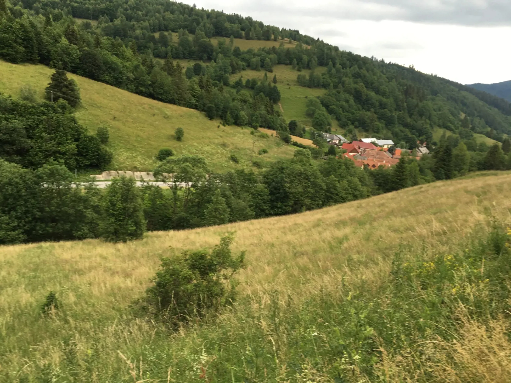 Autobus skončil na tejto lúke pod strmým kopcom..
