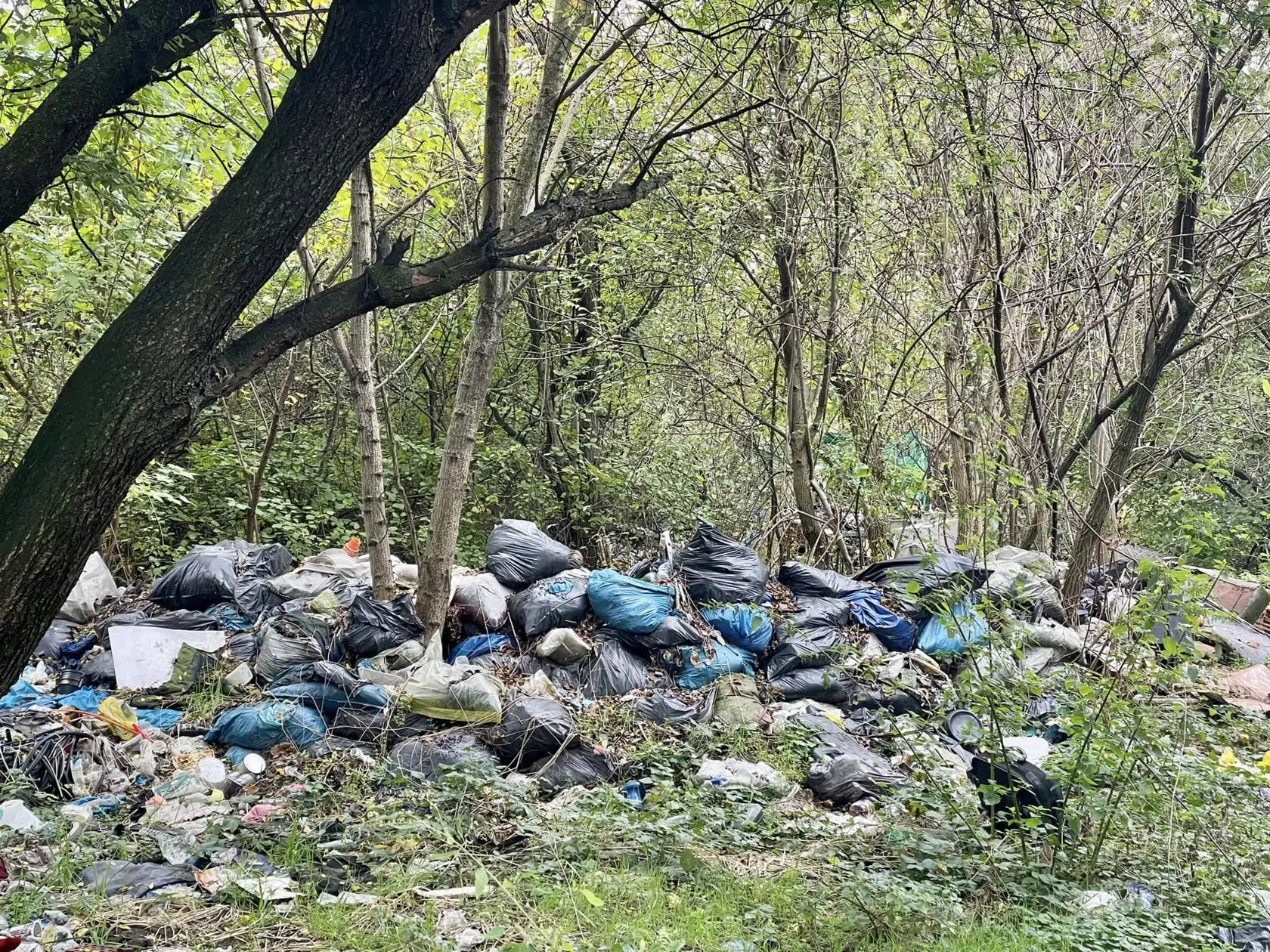 Nelegálnu kolóniu v Ružinove už zlikvidovali.