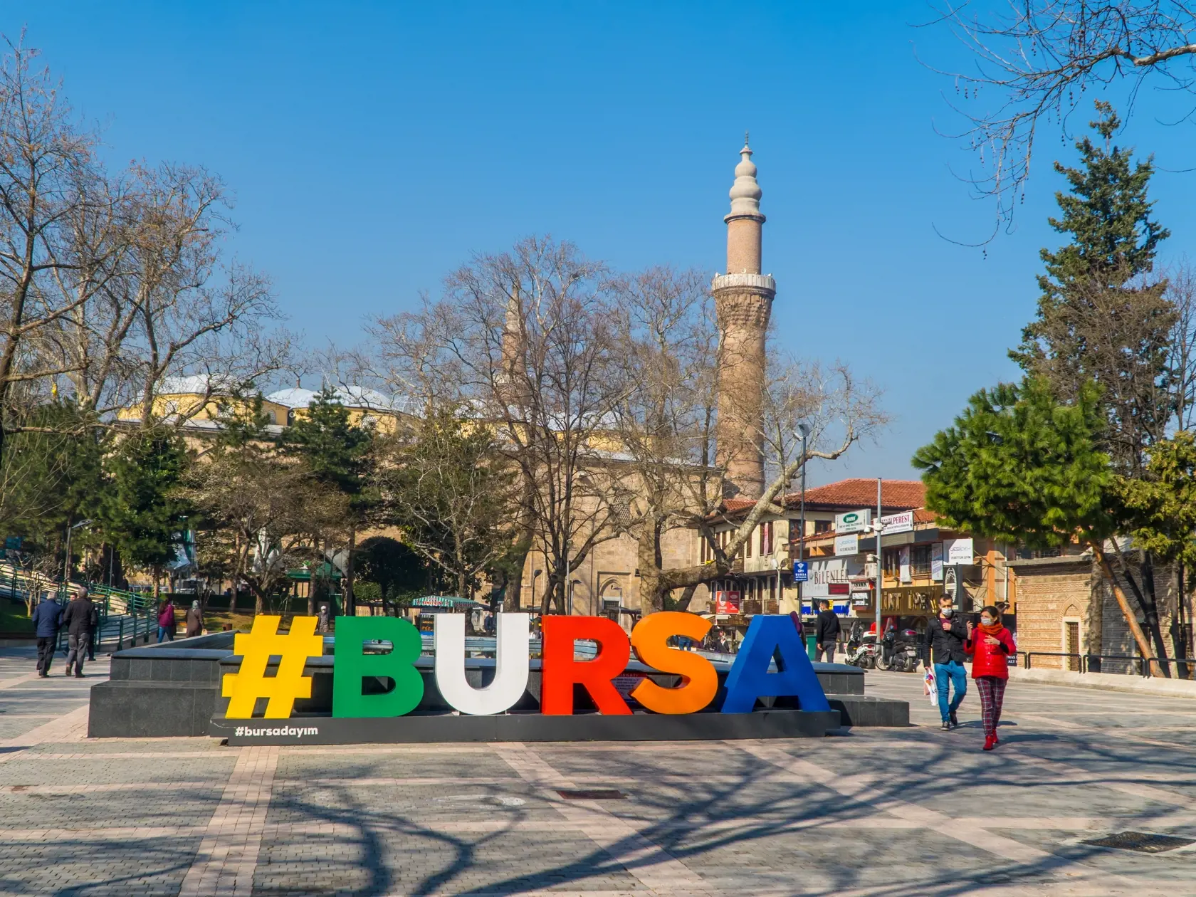 Bursa