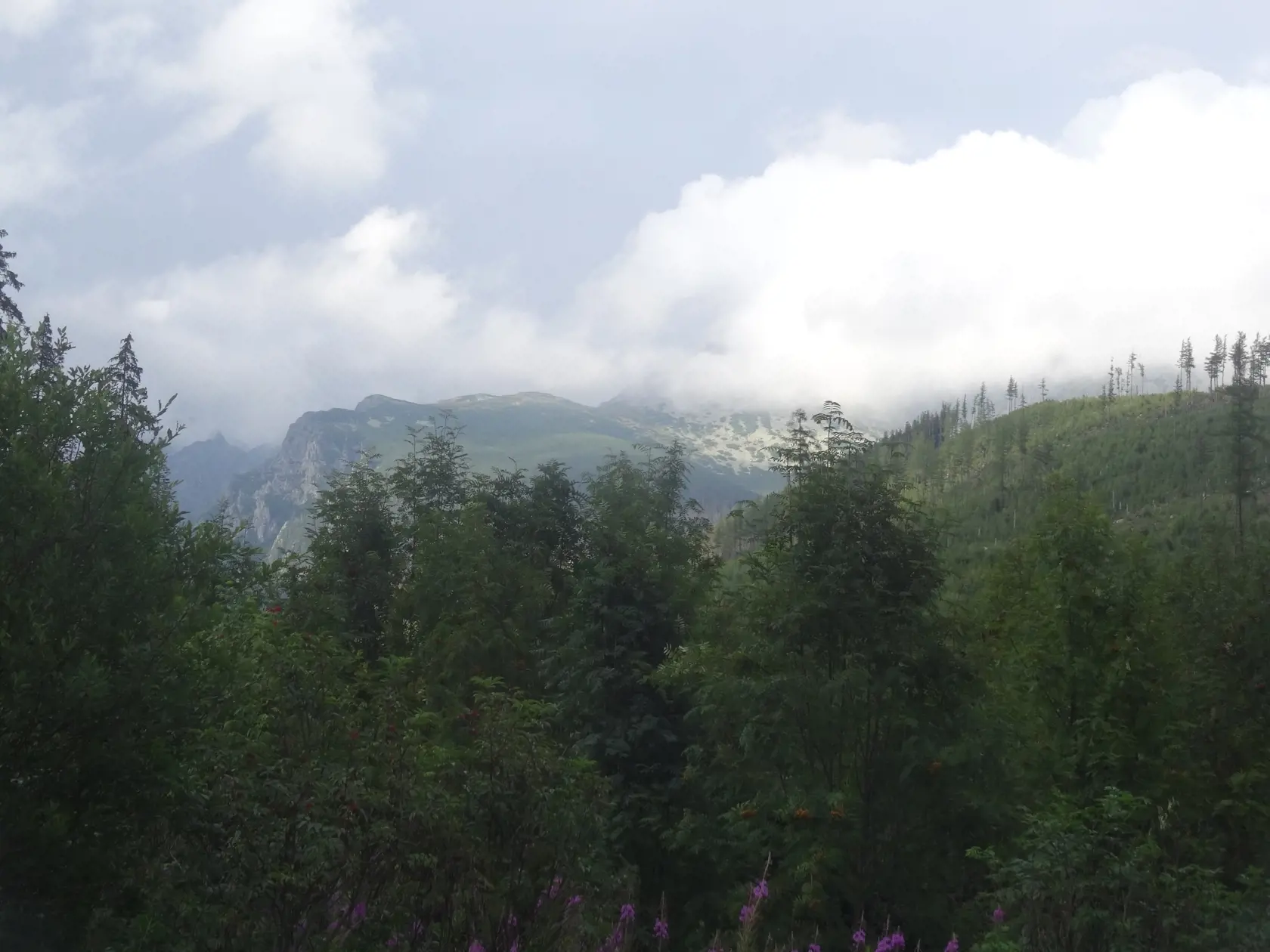 Turisti a návštevníci hôr by radšej videli Tatry zelenej, ako ružovej farby.