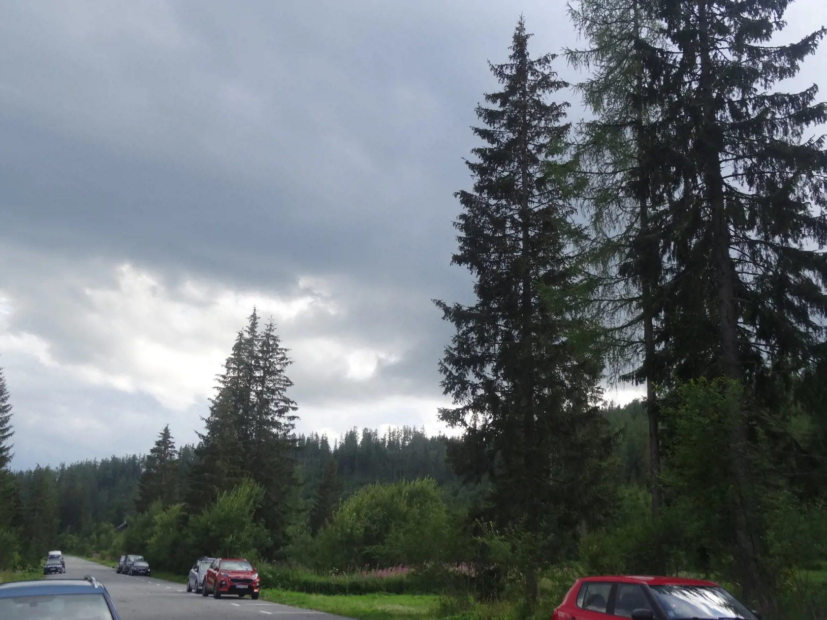 Staré osamelé stromy sú akýmsi mementom na hrozivú veternú smršť, ktorá dramaticky poznačila Vysoké Tatry.
