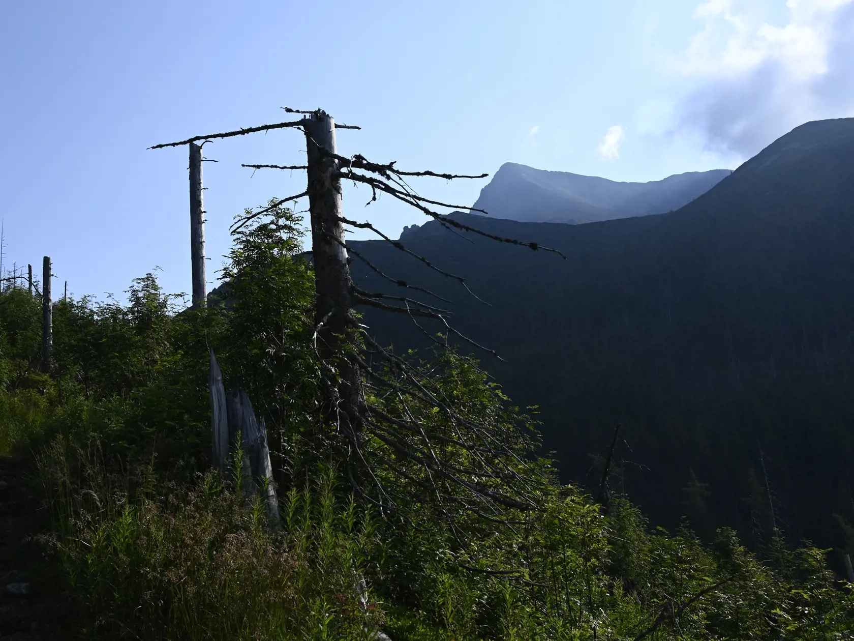 Prázdninový výstup na vrch Kriváň (2495 m) z Troch Studničiek  26. júla 2020 vo Vysokých Tatrách. FOTO TASR - Radovan Stoklasa