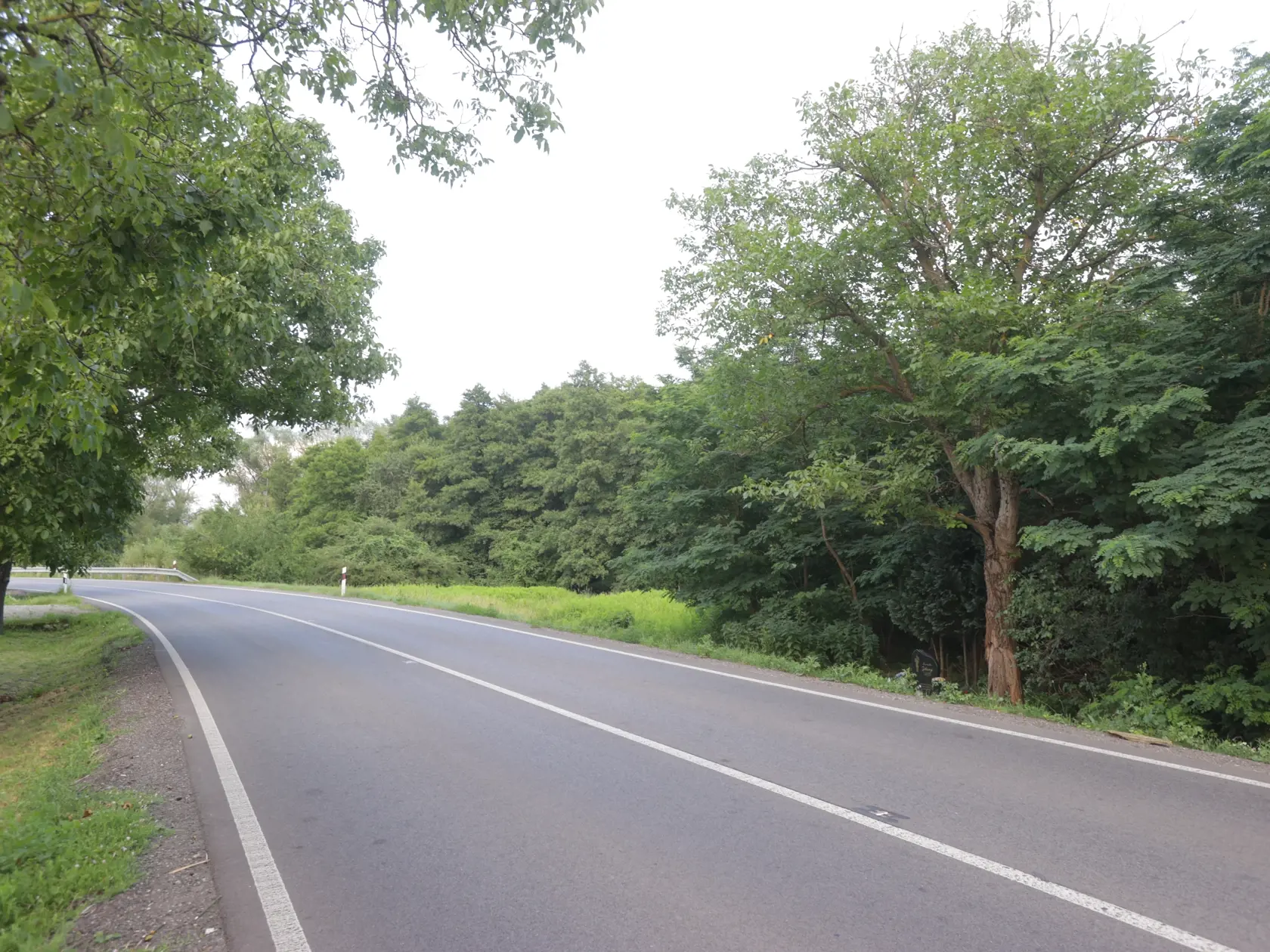 Osudná zákruta v smere z Rohožníka do Kuchyne, kde rasťo Žitný zrazil rodinku na bicyklooch. Vyhasol pri nej život iba 5-ročného Tomáška.