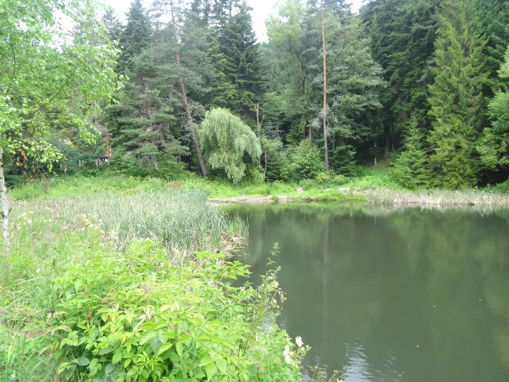 Dolný tajch pomaly zarastá rákosím, mesto však chce postupne zabezpečiť jeho zatraktívnenie zaujímavým projektom.