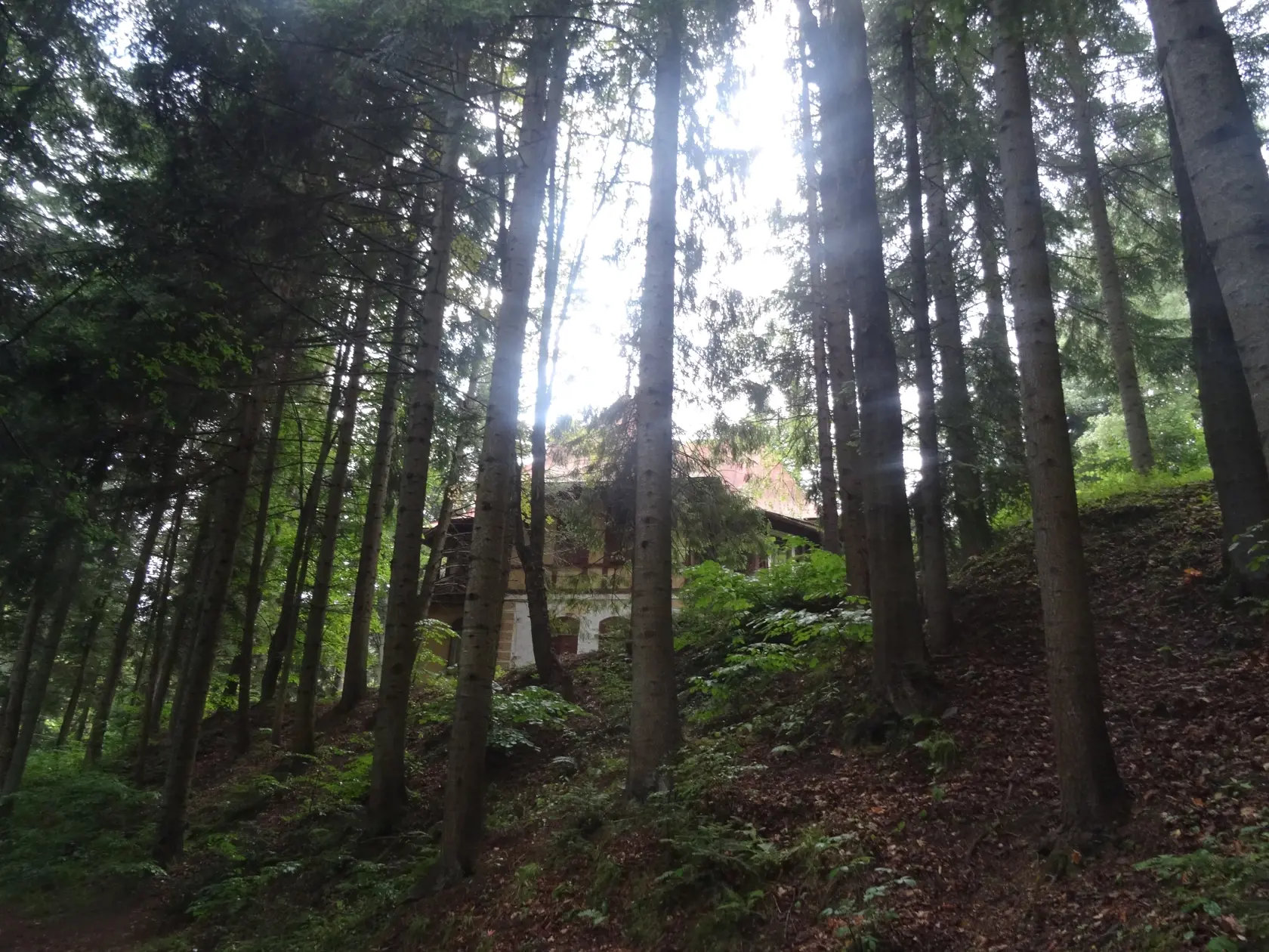 Kúpeľný dom Pionier je v úbohom stave, potreboval by rekonštrukciu. Aktuálny vlastník sa o svoj majetok nestará.