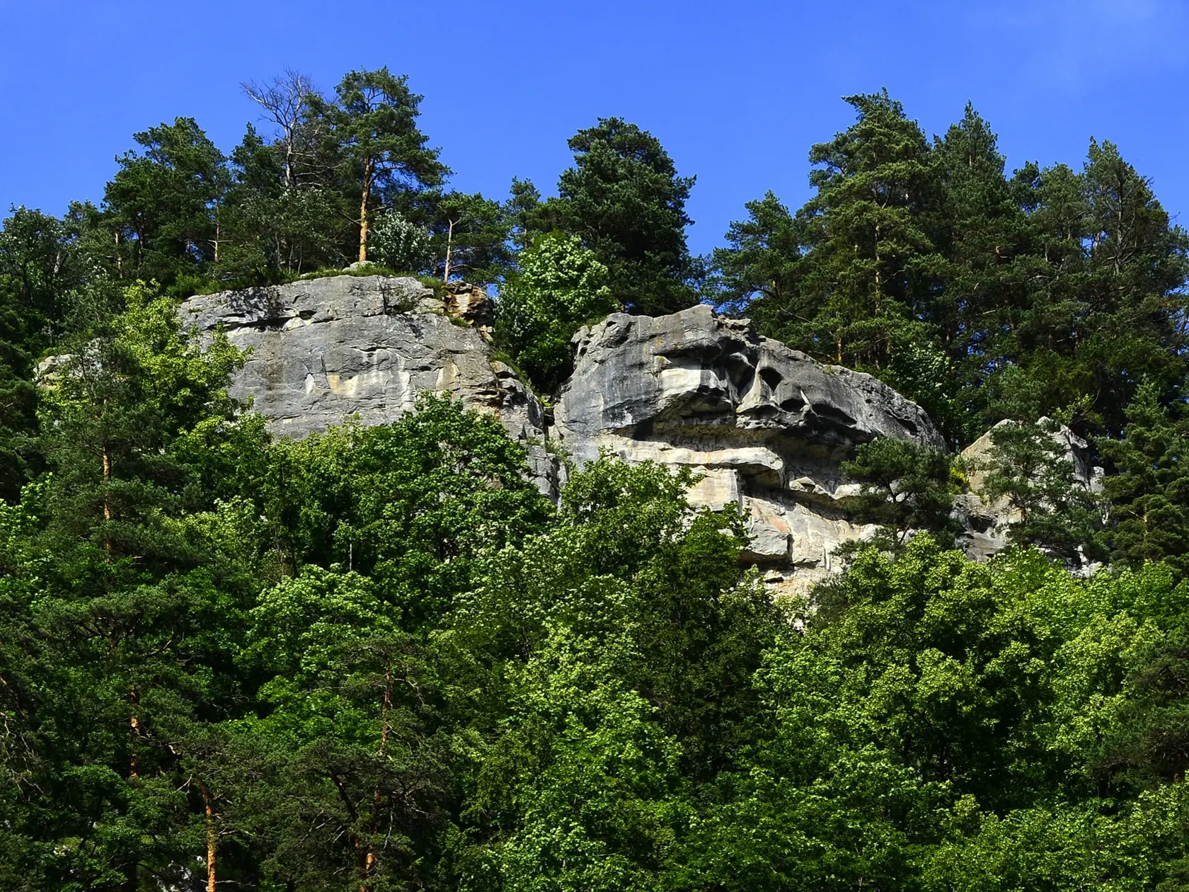 Biely potok, pravostranný prítok rieky Hornád v Prielome Hornádu, vytvoril úzku dolinu s názvom Tomášovská Belá. Úžinou Tomášovskej Belej vedie zelená turistická značka umožňujúca prechod NP Slovenský raj z juhu od Dediniek na sever k Čingovu a naopak. Z Tomášovskej Belej začína napr. nástup na Ferratu HZS Kyseľ ale aj nástup do divokej Sokolej doliny s najvyšším vodopádom Slovenského raja, Závojovým vodopádom. Bielym potokom sa v minulosti splavovalo drevo, k čomu bola postavená vodná nádrž Kla