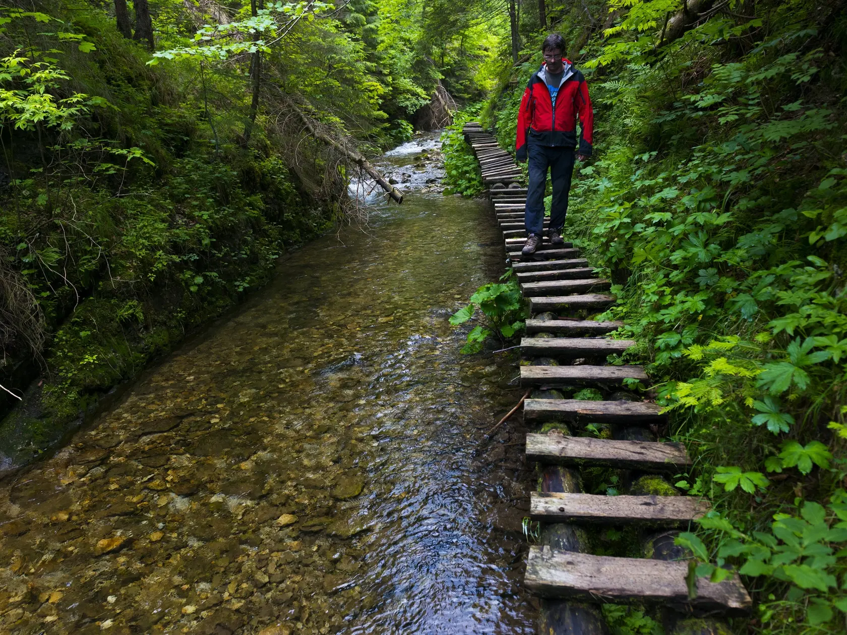 Biely potok, pravostranný prítok rieky Hornád v Prielome Hornádu, vytvoril úzku dolinu s názvom Tomášovská Belá. Úžinou Tomášovskej Belej vedie zelená turistická značka umožňujúca prechod NP Slovenský raj z juhu od Dediniek na sever k Čingovu a naopak. Z Tomášovskej Belej začína napr. nástup na Ferratu HZS Kyseľ ale aj nástup do divokej Sokolej doliny s najvyšším vodopádom Slovenského raja, Závojovým vodopádom. Bielym potokom sa v minulosti splavovalo drevo, k čomu bola postavená vodná nádrž Kla