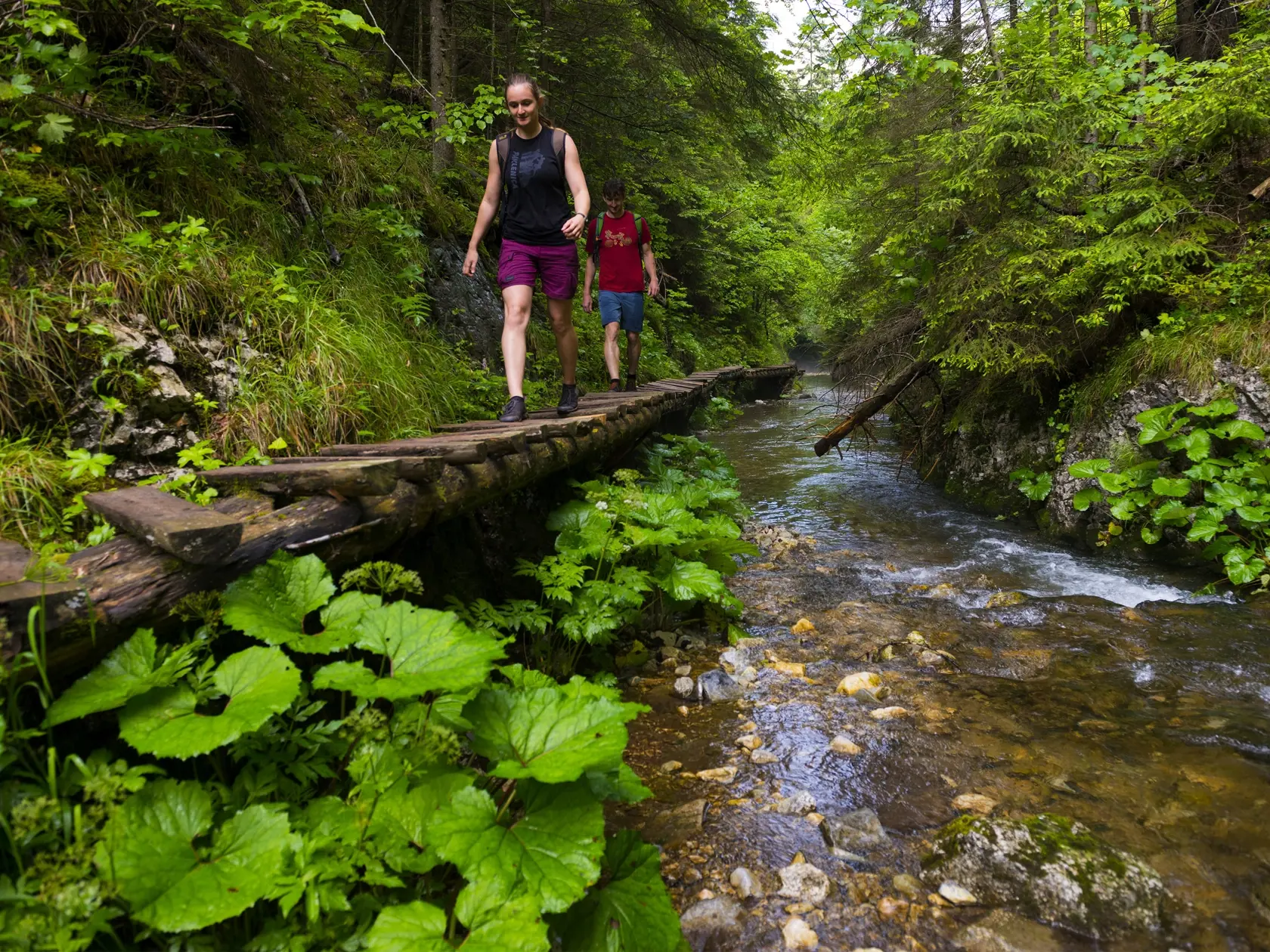 Biely potok, pravostranný prítok rieky Hornád v Prielome Hornádu, vytvoril úzku dolinu s názvom Tomášovská Belá. Úžinou Tomášovskej Belej vedie zelená turistická značka umožňujúca prechod NP Slovenský raj z juhu od Dediniek na sever k Čingovu a naopak. Z Tomášovskej Belej začína napr. nástup na Ferratu HZS Kyseľ ale aj nástup do divokej Sokolej doliny s najvyšším vodopádom Slovenského raja, Závojovým vodopádom.