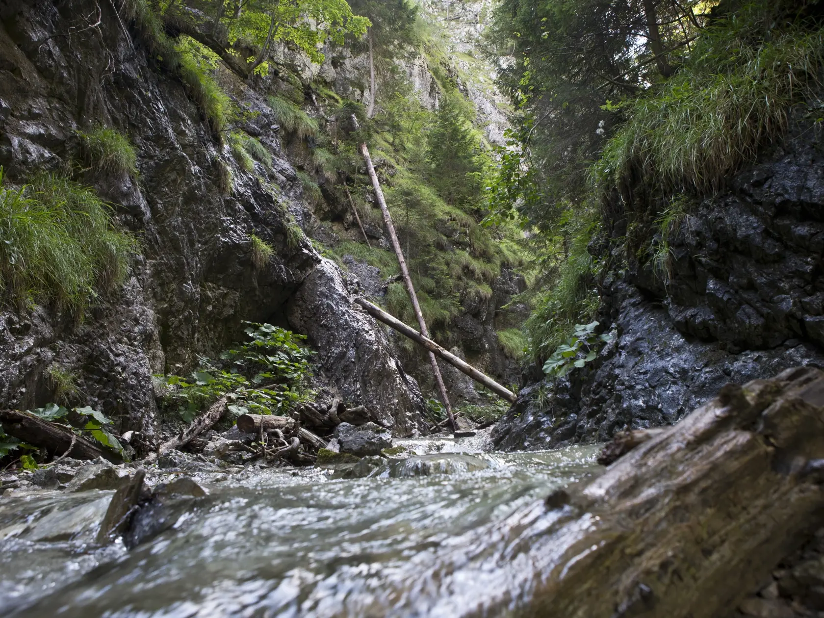 Slovensky raj - Ferrata Kysel. Otvorenie novej zaistenej turistickej cesty v Slovenskom raji v casti rokliny Kysel, ktora bola pre verejnost uzavreta od roku 1976 z dovodu rozsiahleho poziaru. V rokline za poslednych 40 rokov nebol ziadny zasah cloveka.
