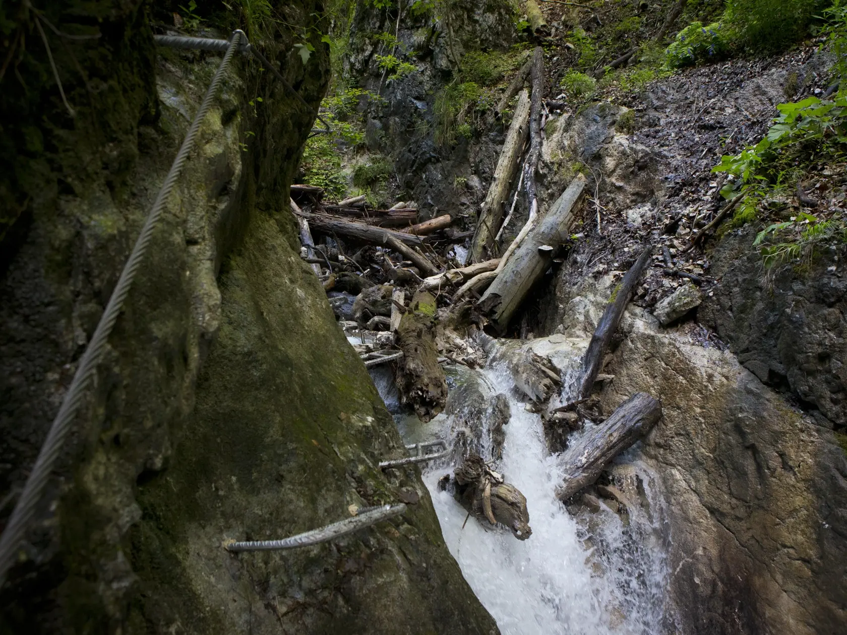 Slovensky raj - Ferrata Kysel. Otvorenie novej zaistenej turistickej cesty v Slovenskom raji v casti rokliny Kysel, ktora bola pre verejnost uzavreta od roku 1976 z dovodu rozsiahleho poziaru. V rokline za poslednych 40 rokov nebol ziadny zasah cloveka.