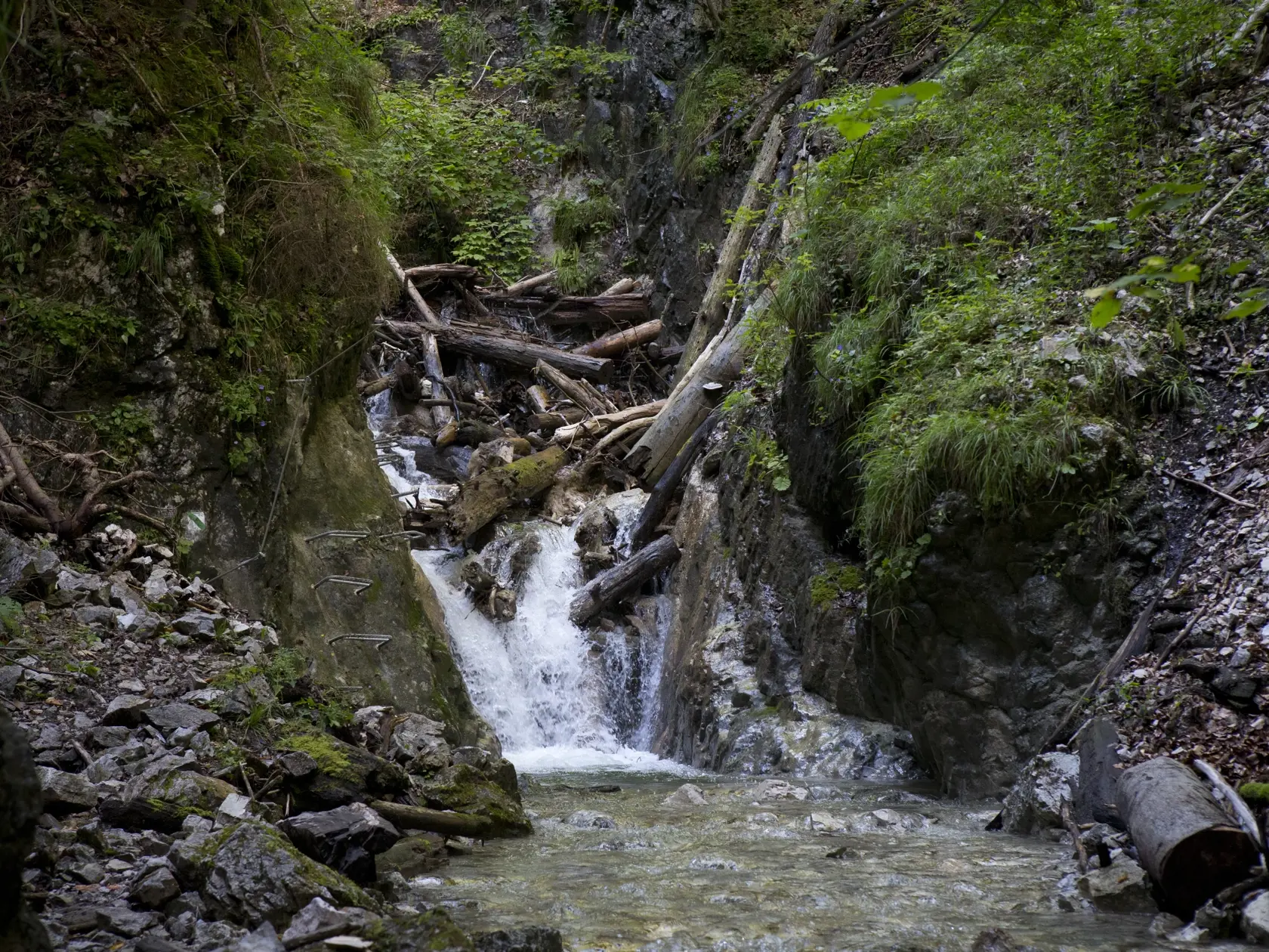 Slovensky raj - Ferrata Kysel. Otvorenie novej zaistenej turistickej cesty v Slovenskom raji v casti rokliny Kysel, ktora bola pre verejnost uzavreta od roku 1976 z dovodu rozsiahleho poziaru. V rokline za poslednych 40 rokov nebol ziadny zasah cloveka.