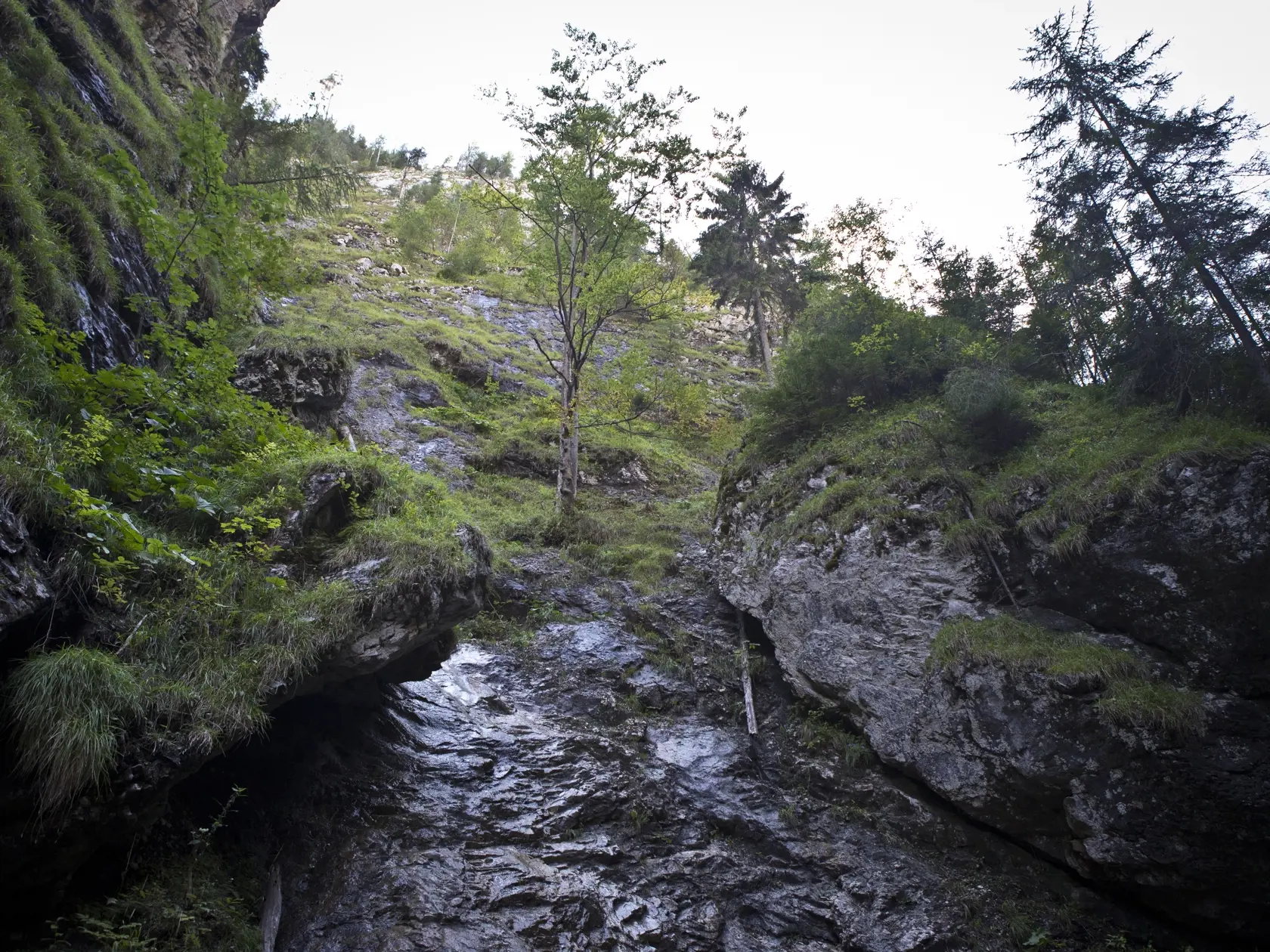 Slovensky raj - Ferrata Kysel. Otvorenie novej zaistenej turistickej cesty v Slovenskom raji v casti rokliny Kysel, ktora bola pre verejnost uzavreta od roku 1976 z dovodu rozsiahleho poziaru. V rokline za poslednych 40 rokov nebol ziadny zasah cloveka.
