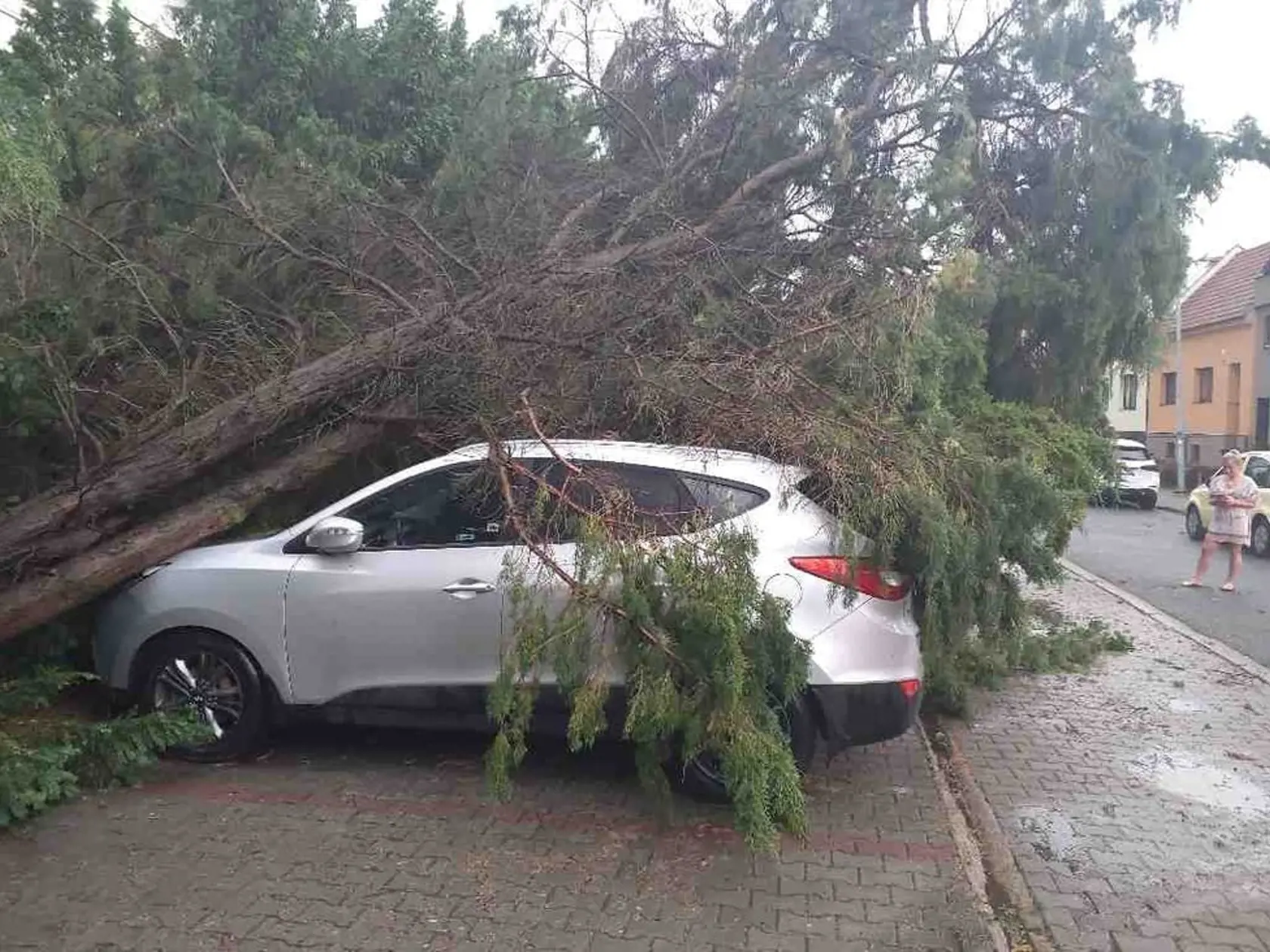 Českom sa prehnalo tornádo.
