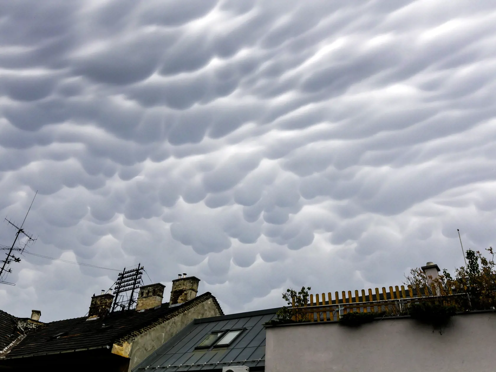 Na snímke oblaky druhu mammatus. Majú tvar zaoblených výbežkov podobajúcich sa na prsia, ktoré visia na spodnej strane oblakov. Jeho meno je odvodené z latinského slova mamma, čo v preklade znamená vemeno. Mammatus vzniká najčastejšie pod nákovou búrkového mraku typu Cumulonimbu (Cb) a je charakteristický najmä pre intenzívne búrky v štádiu rozpadu. V Bratislave 24. júna 2021. FOTO TASR - Dano Veselský