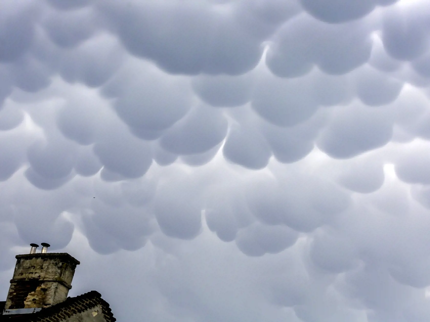 Na snímke oblaky druhu mammatus. Majú tvar zaoblených výbežkov podobajúcich sa na prsia, ktoré visia na spodnej strane oblakov. Jeho meno je odvodené z latinského slova mamma, čo v preklade znamená vemeno. Mammatus vzniká najčastejšie pod nákovou búrkového mraku typu Cumulonimbu (Cb) a je charakteristický najmä pre intenzívne búrky v štádiu rozpadu. V Bratislave 24. júna 2021. FOTO TASR - Dano Veselský