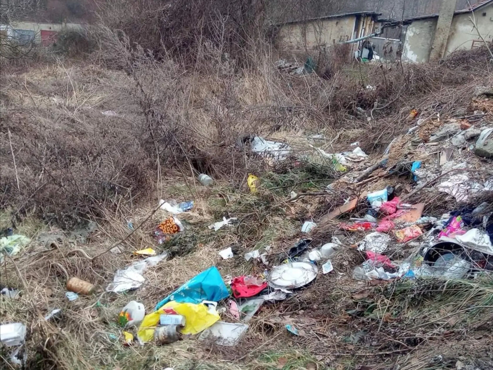 Otrasné, čo dokázali obyvatelia kolónie spraviť so svojim životným prostredím.