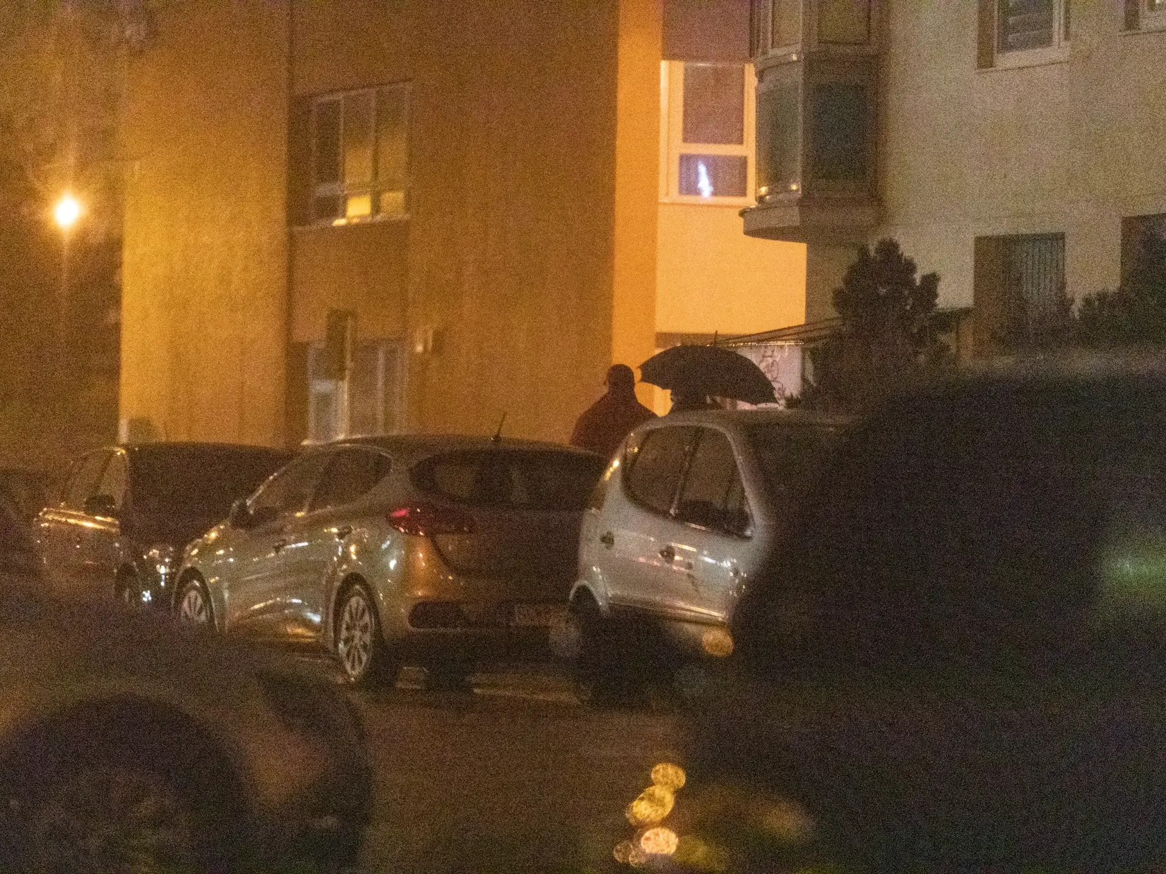 Paparazzi Dobroslava Trnku.