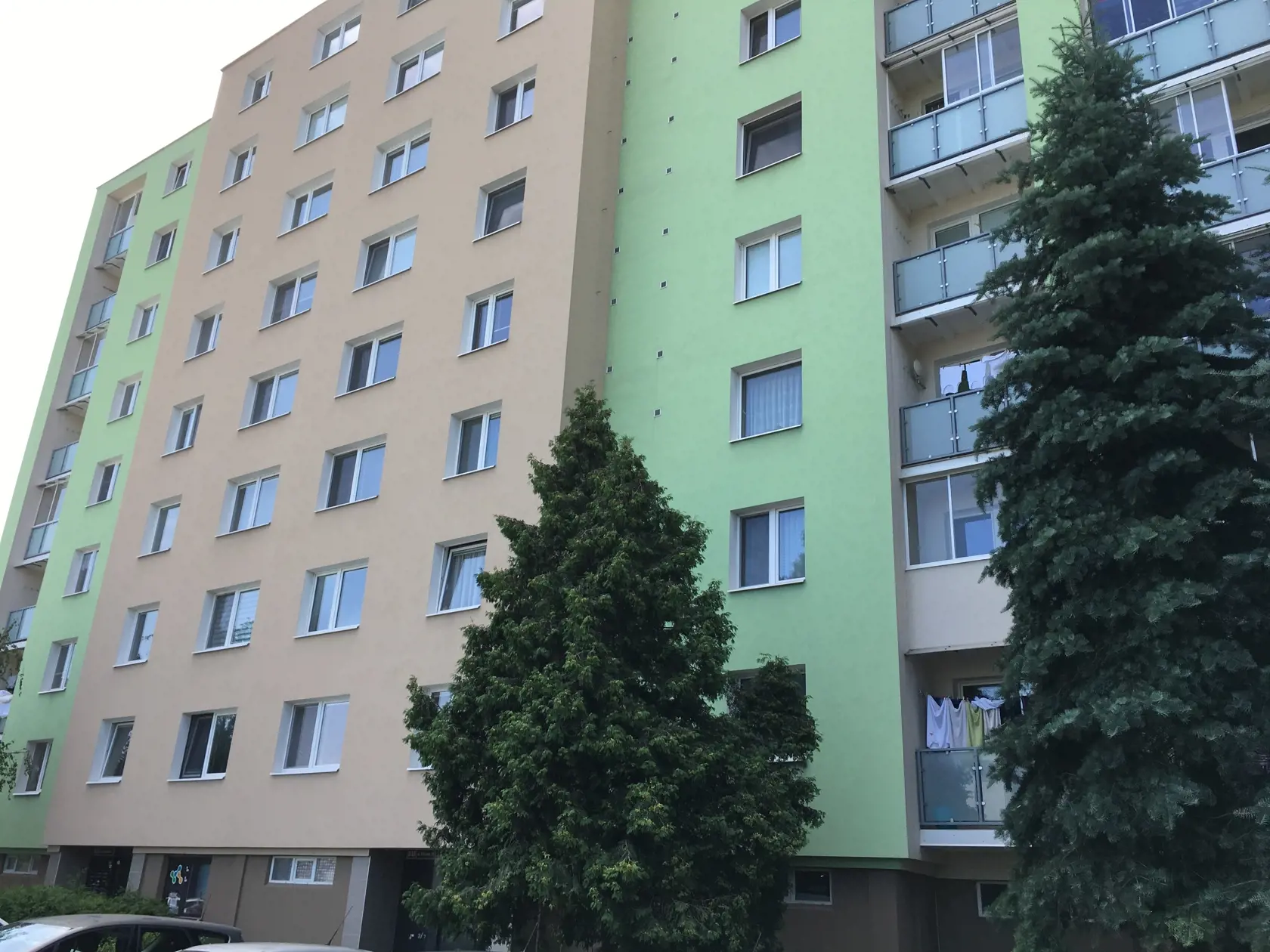 V byte na prízemí, medzi dvomi stromami, našli dobodaného boxeristu Petra.