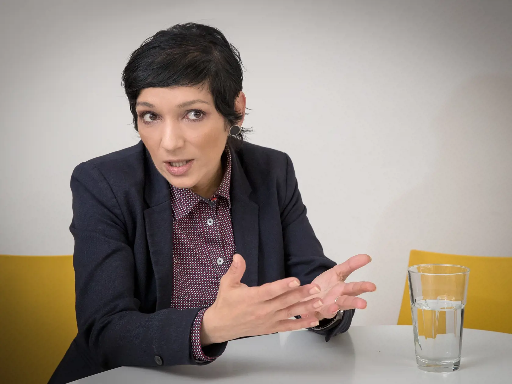 Rozhovor s Mgr. Irenou Bihariovou, slovenskou právničkou a političkou, ktorá je v súčasnosti predsedníčkou strany Progresívne Slovensko.