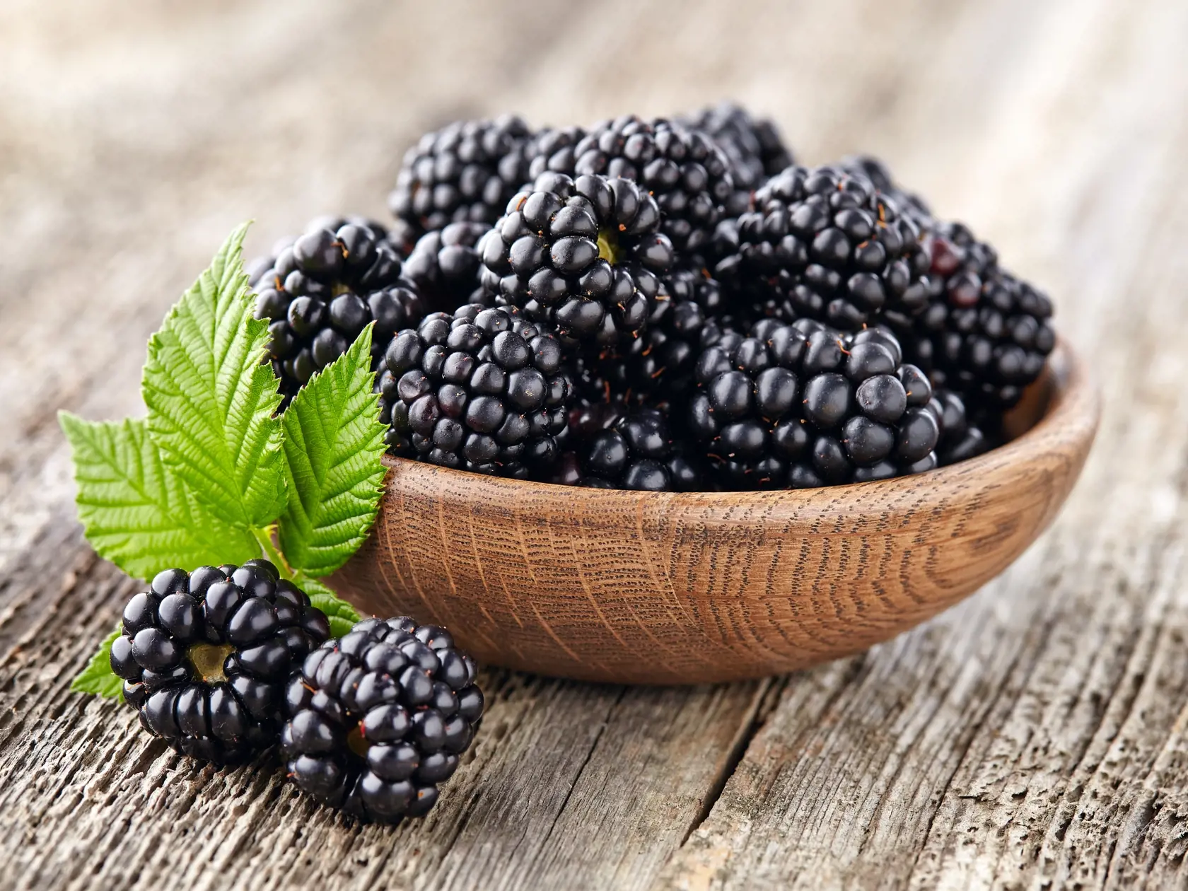 O černiciach je známe, že pomáhajú pri trávení a udržiavaní mladistvého vzhľadu pokožky. Toto ovocie je bohaté na vitamín C a antioxidanty známe ako bioflavonoidy. Konzumácia černíc zlepší trávenie, zvyšuje sústredenosť a posilňuje tkanivo, čo vedie k mladšiemu vzhľadu pokožky. V jednej porcii bobúľ existuje približne 62 kalórií.