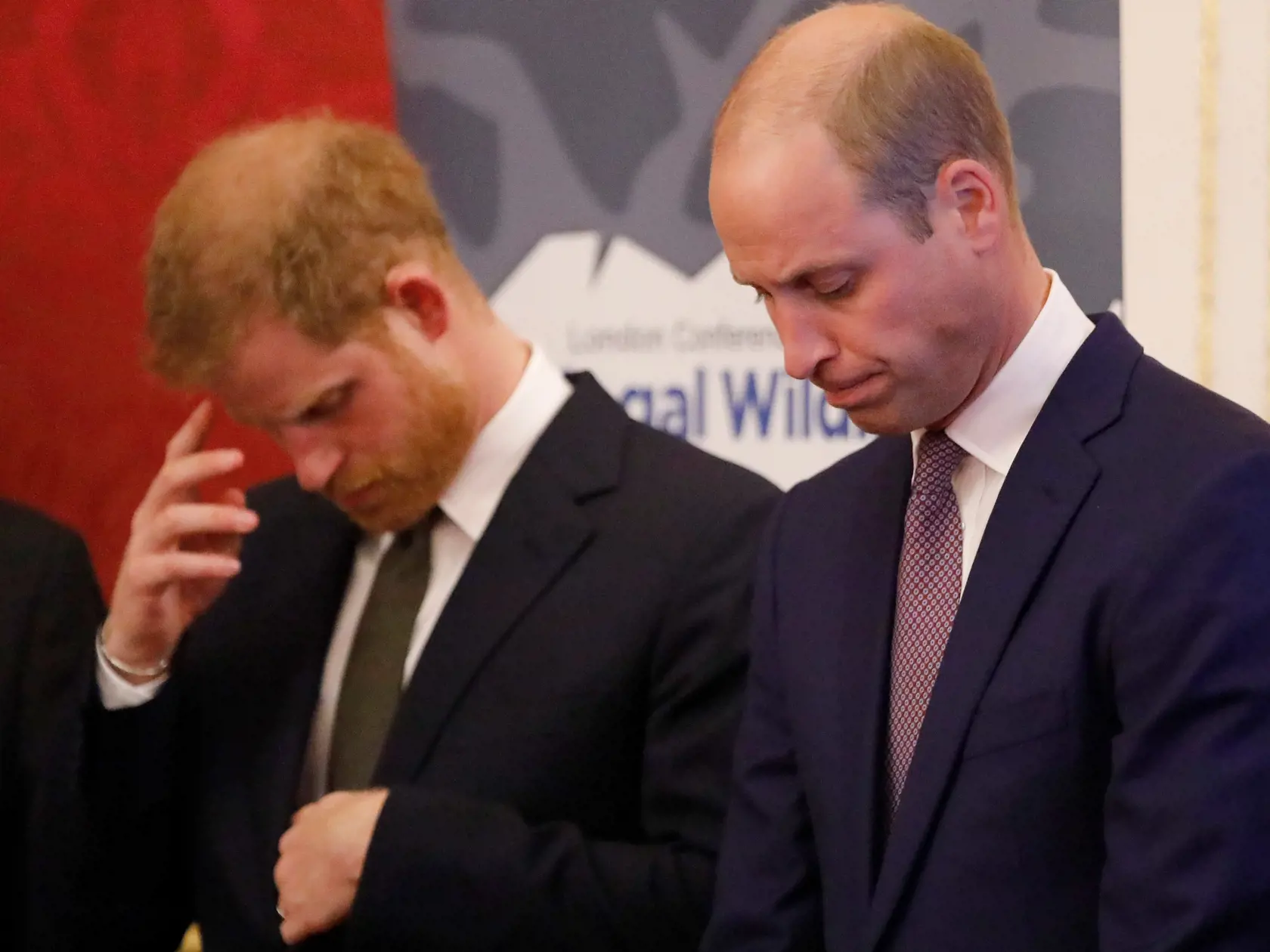 The Duke Of Cambridge Attends The 2018 Illegal Wildlife Trade Conference
