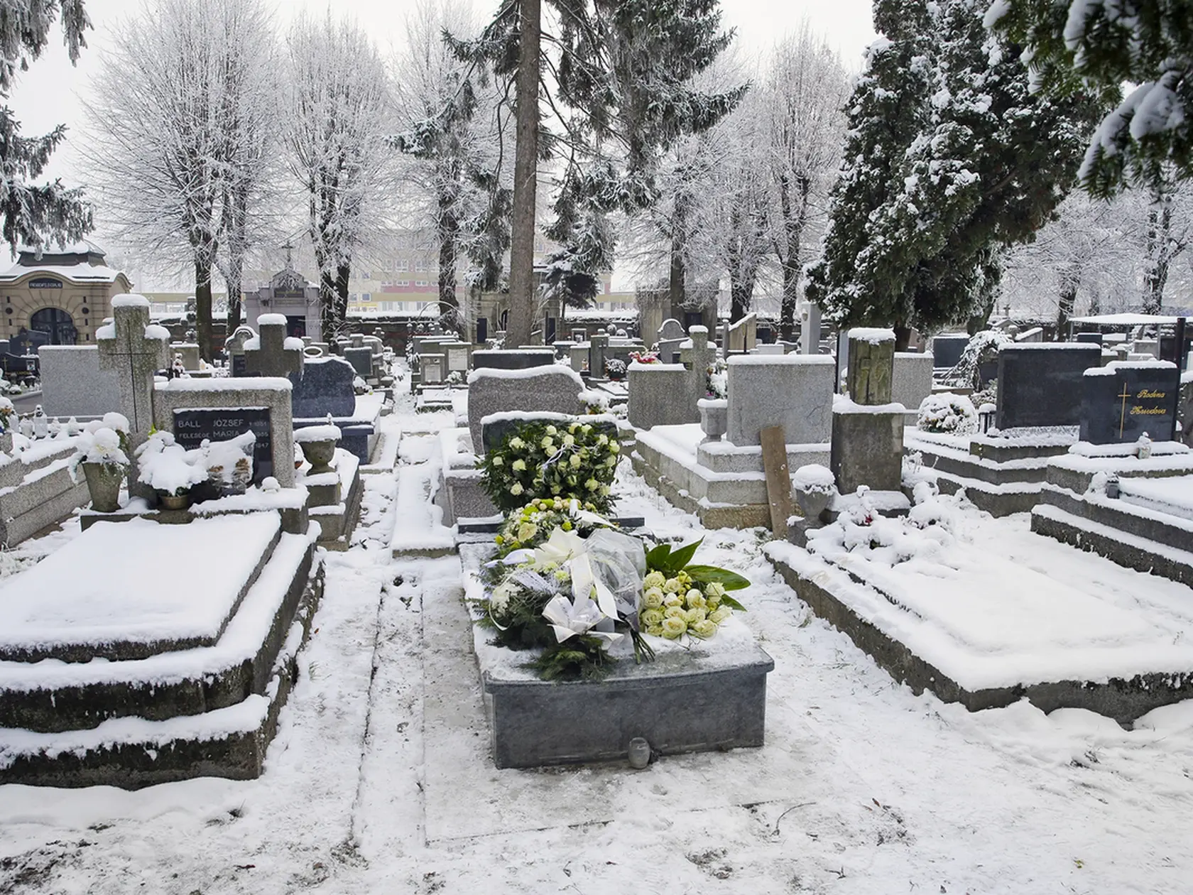Na hrobe, do ktorého boli uložené pozostatky herečky,  bolo viacero kvetov.