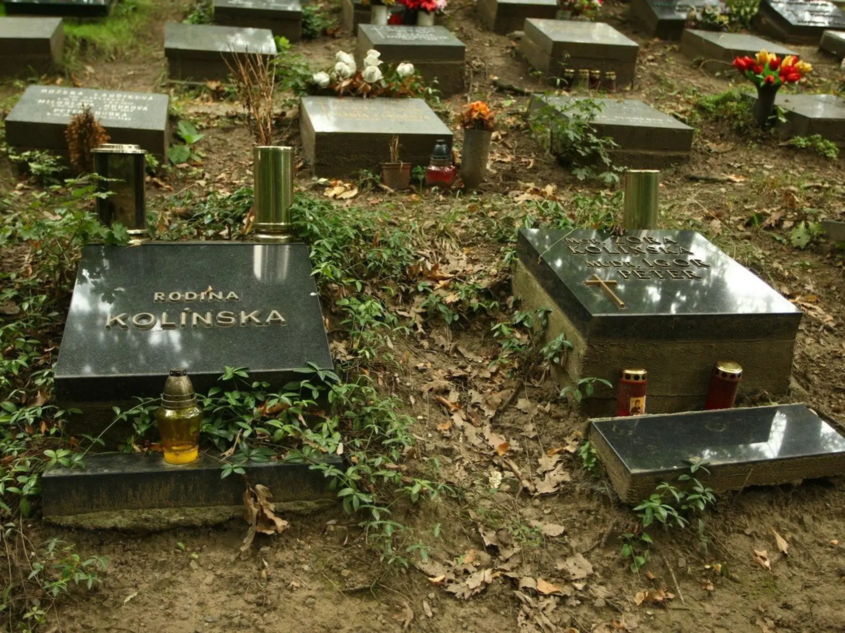 Hviezda relácie Repete, herečka a speváčka s nohami ako bohyňa Zora Kolínska († 61) bola ozajstná dáma.