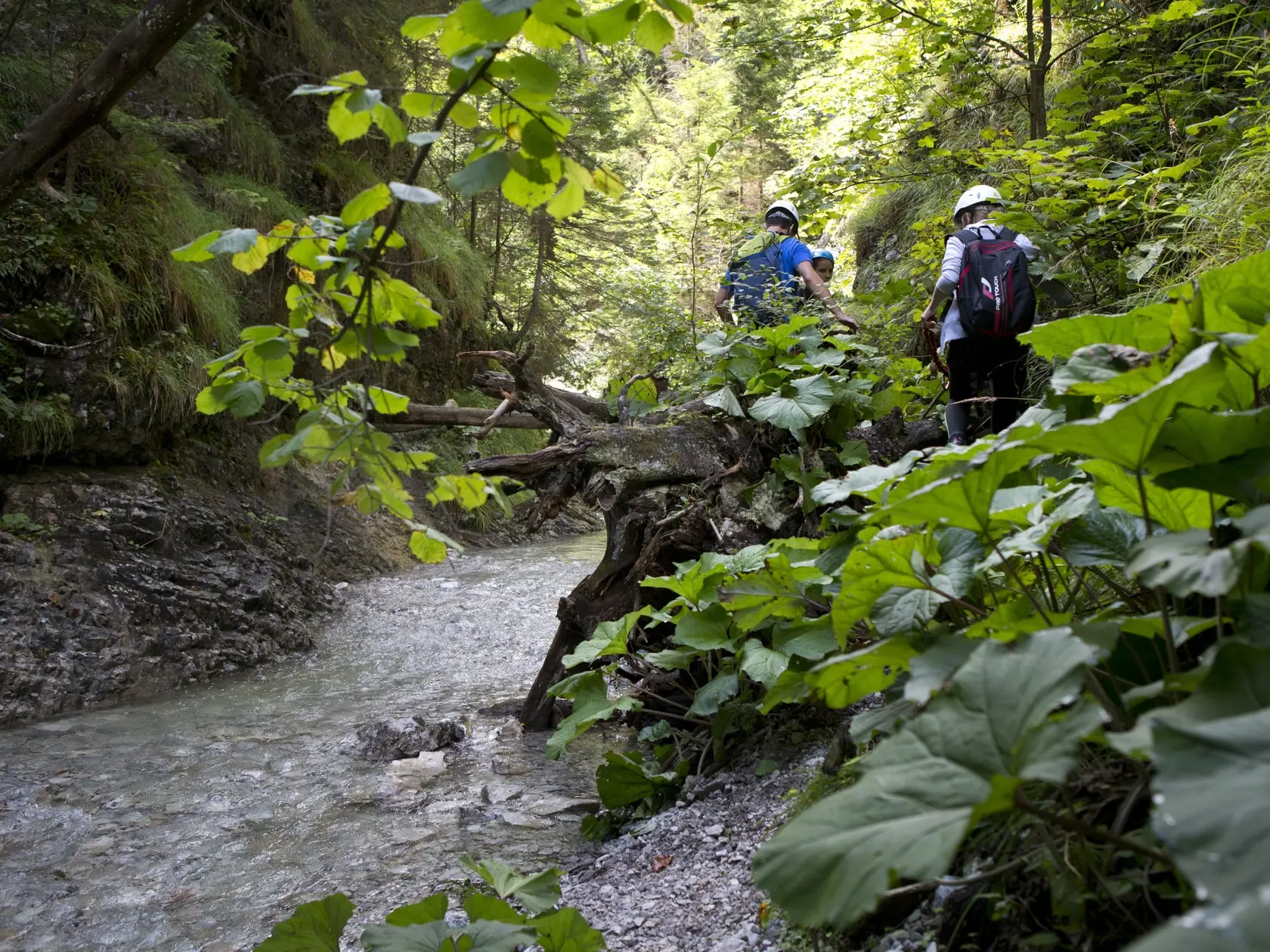 Ferrata Kyseľ v Slovenskom raji.