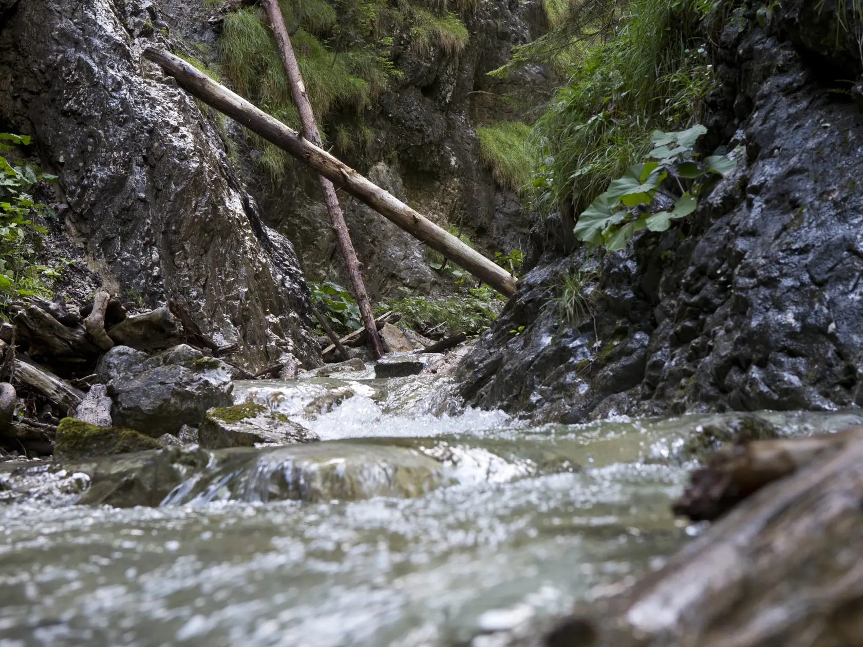 Slovensky raj - Ferrata Kysel. 