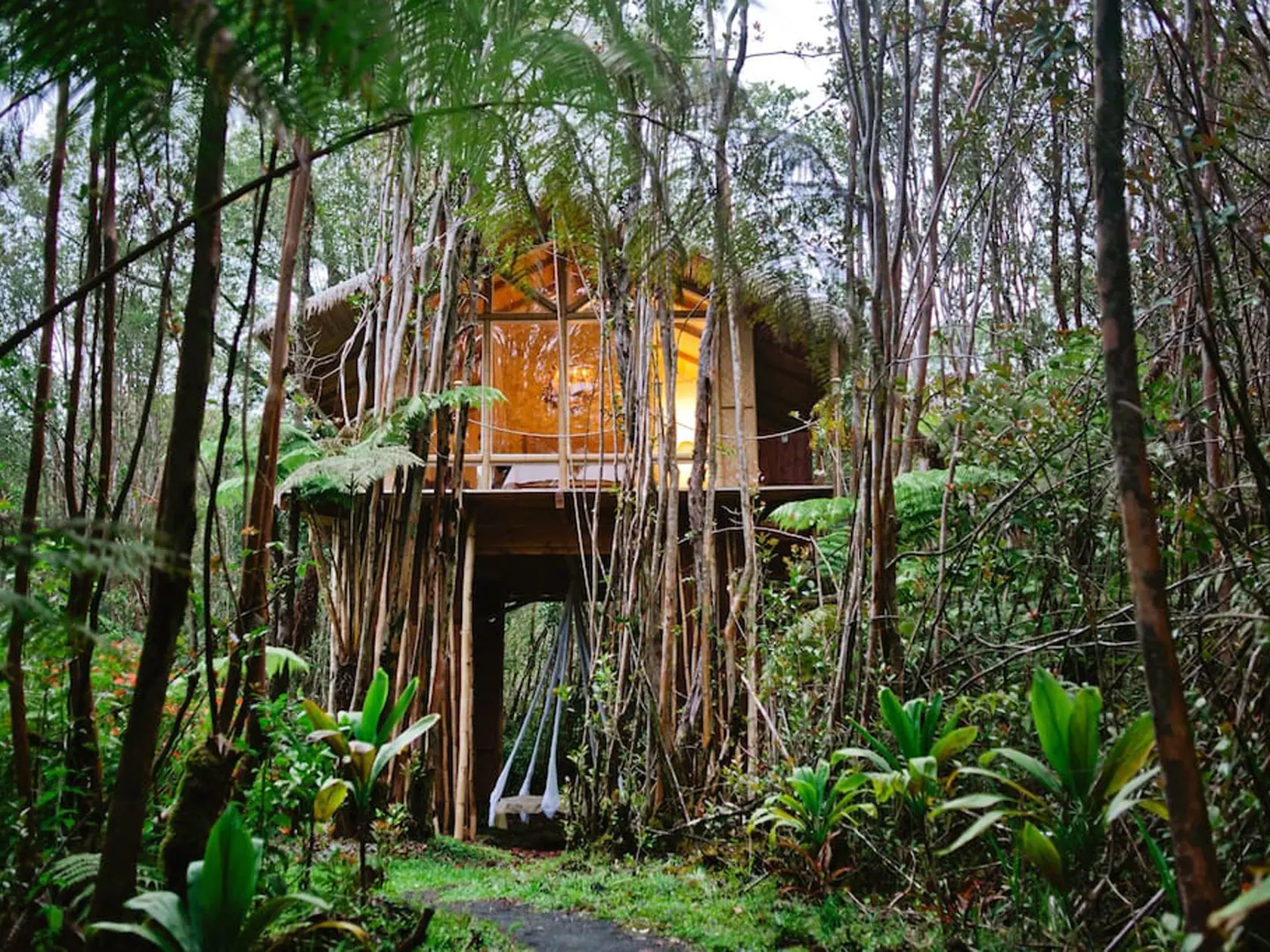 Tropický dom na strome, Fern Forest, Havaj: V Sopečnom národnom parku s 360-stupňovým výhľadom. 132 € osoba/deň
