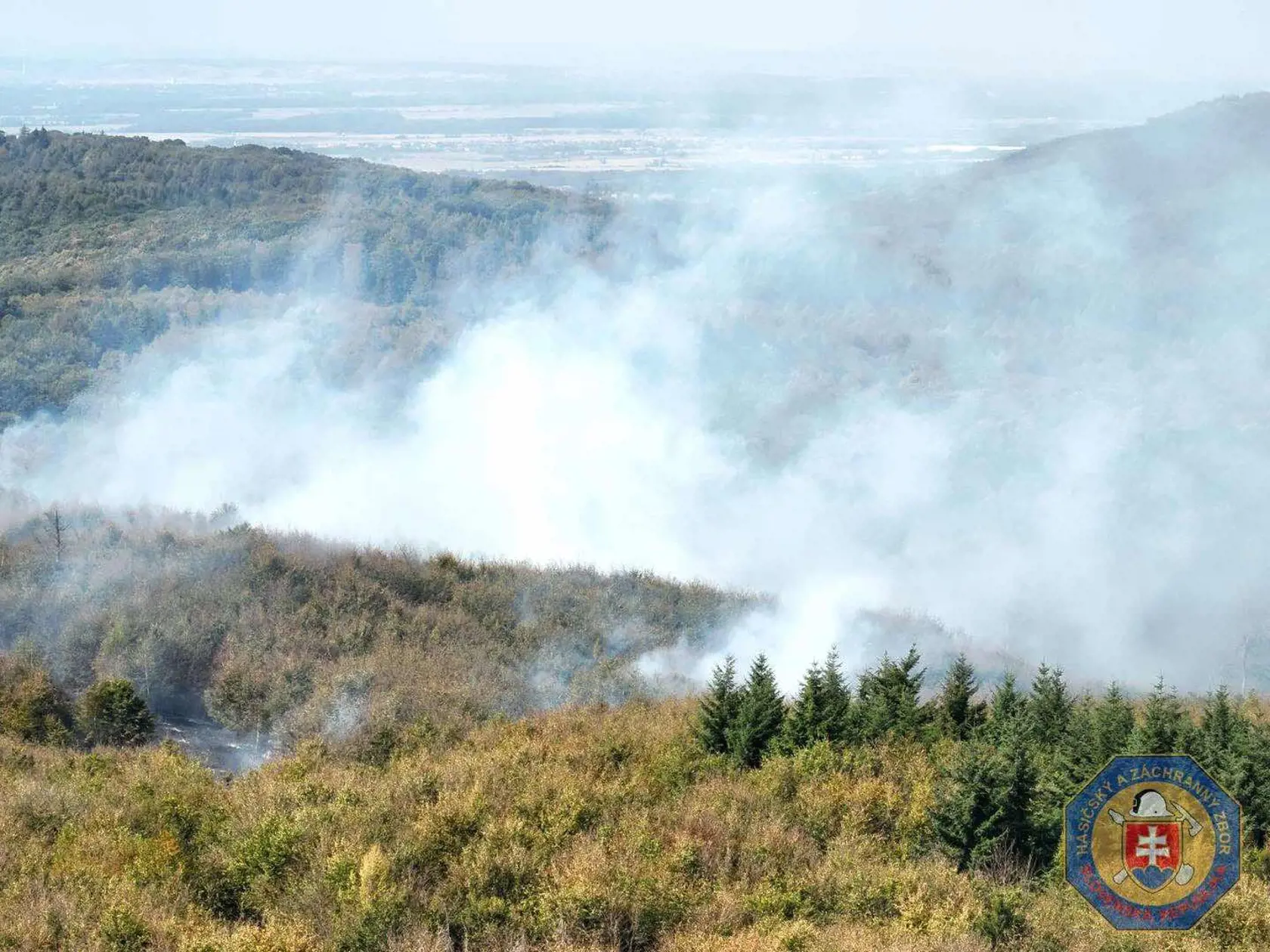 "Hliadky Policajného zboru aktuálne uzavreli cestu od Svätého Jura - Neštich v smere do lesa, vjazd od Peknej cesty, ako aj vjazd z Potočnej ulice," informoval Szeiff.