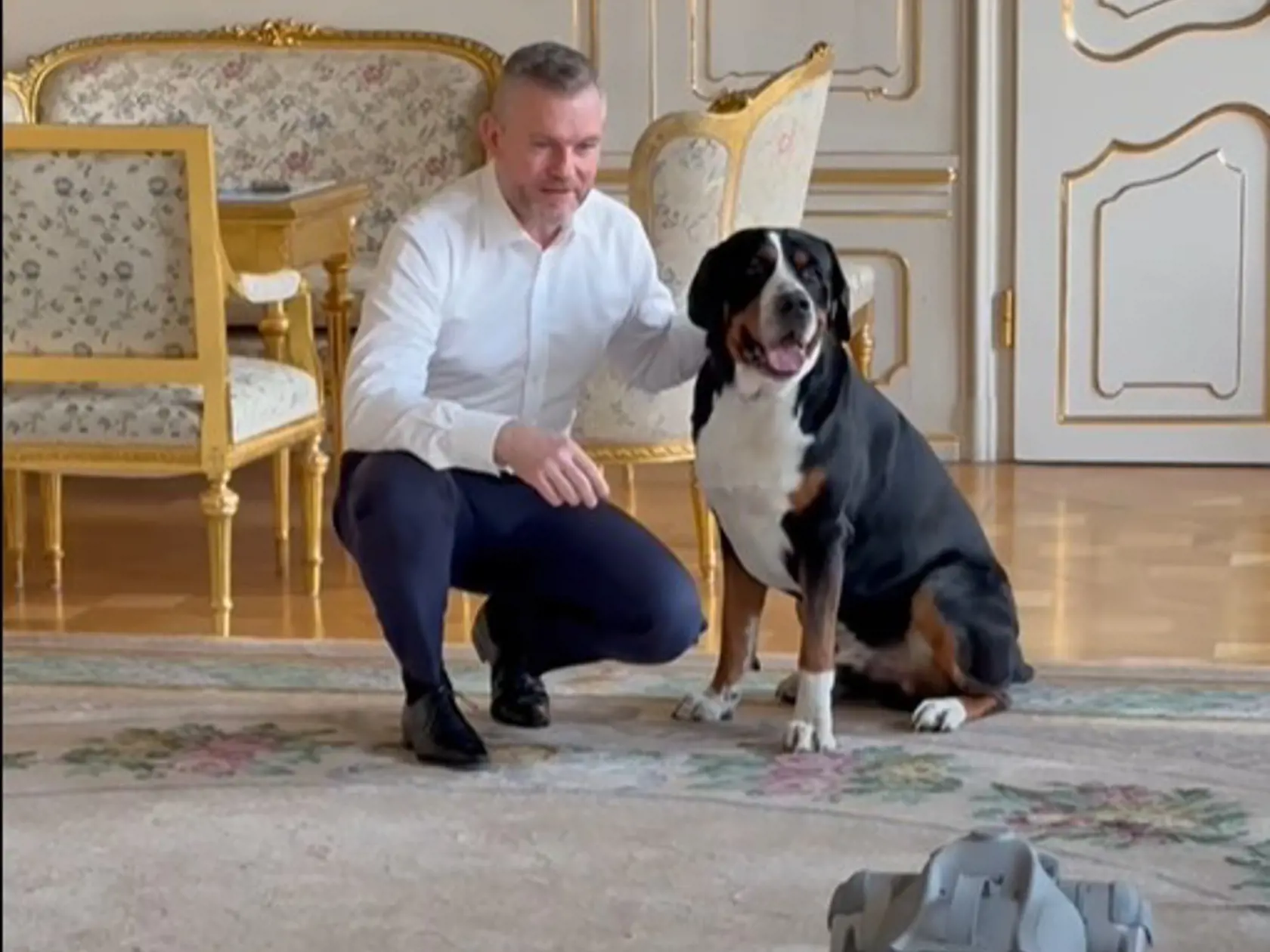 Prezident Peter Pellegrini si v Prezidentskom paláci vyskúšal robotického psa Jimmyho. Priznal, že jeho chlpáč Gery bol z neho trochu nesvoj.